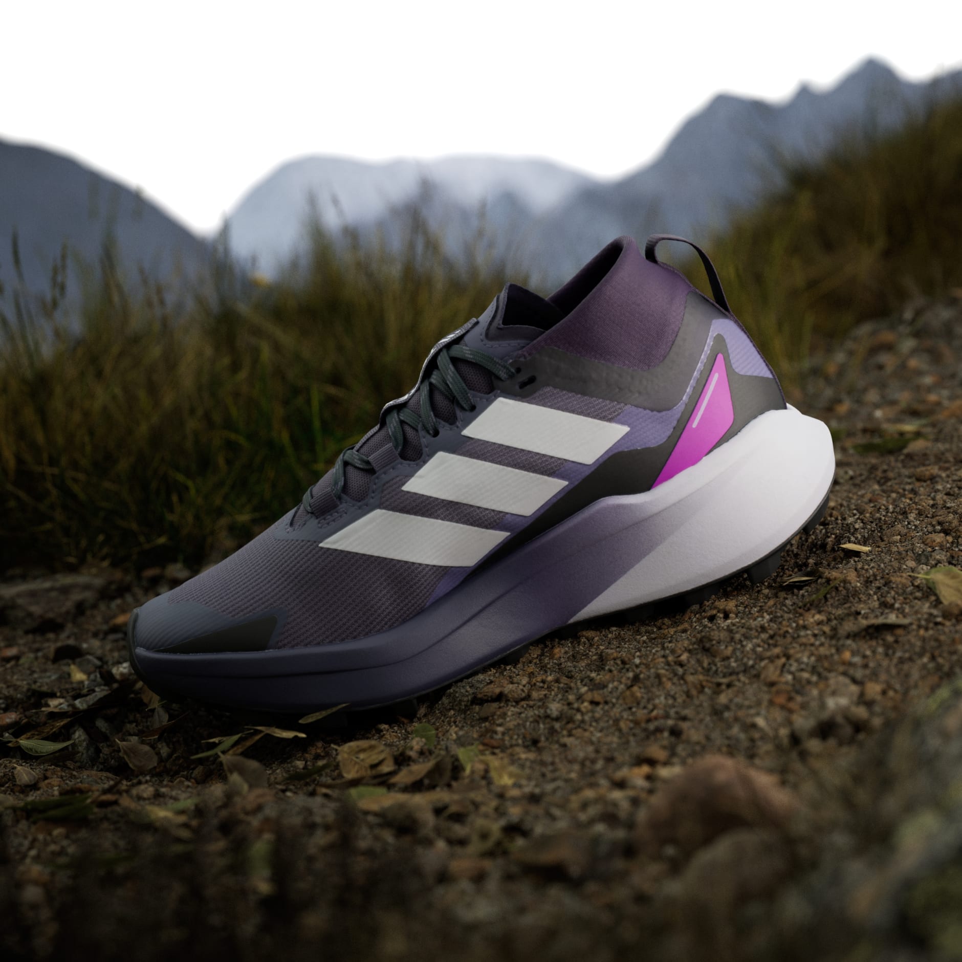 Tenisice za trail trčanje Terrex Agravic GTX