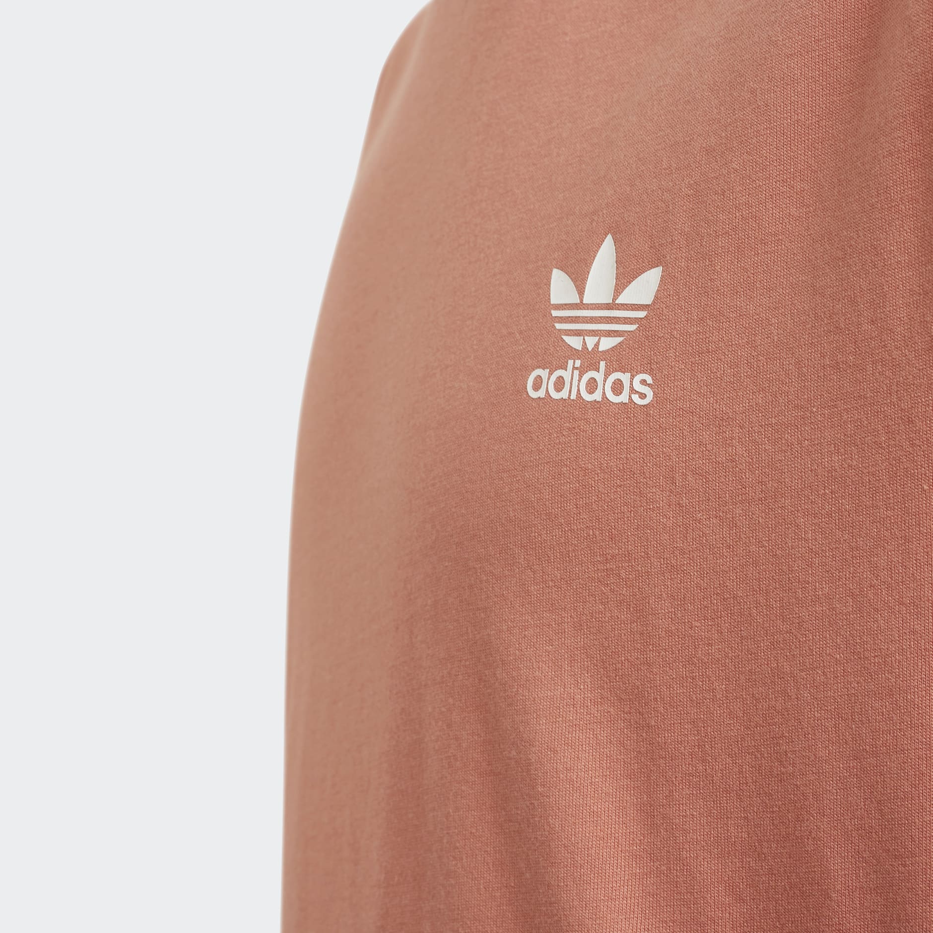 Camiseta Adicolor