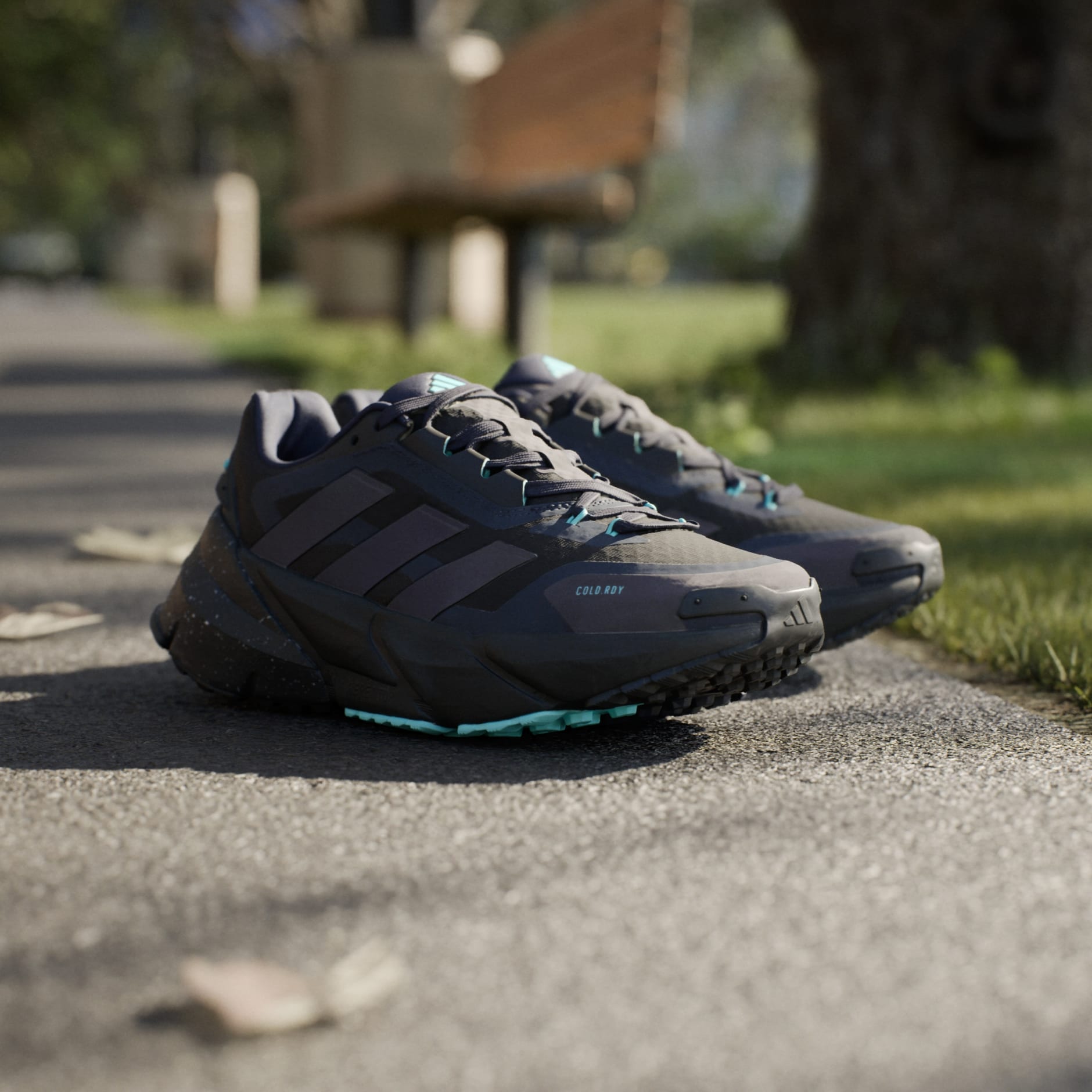Adistar COLD.RDY Shoes