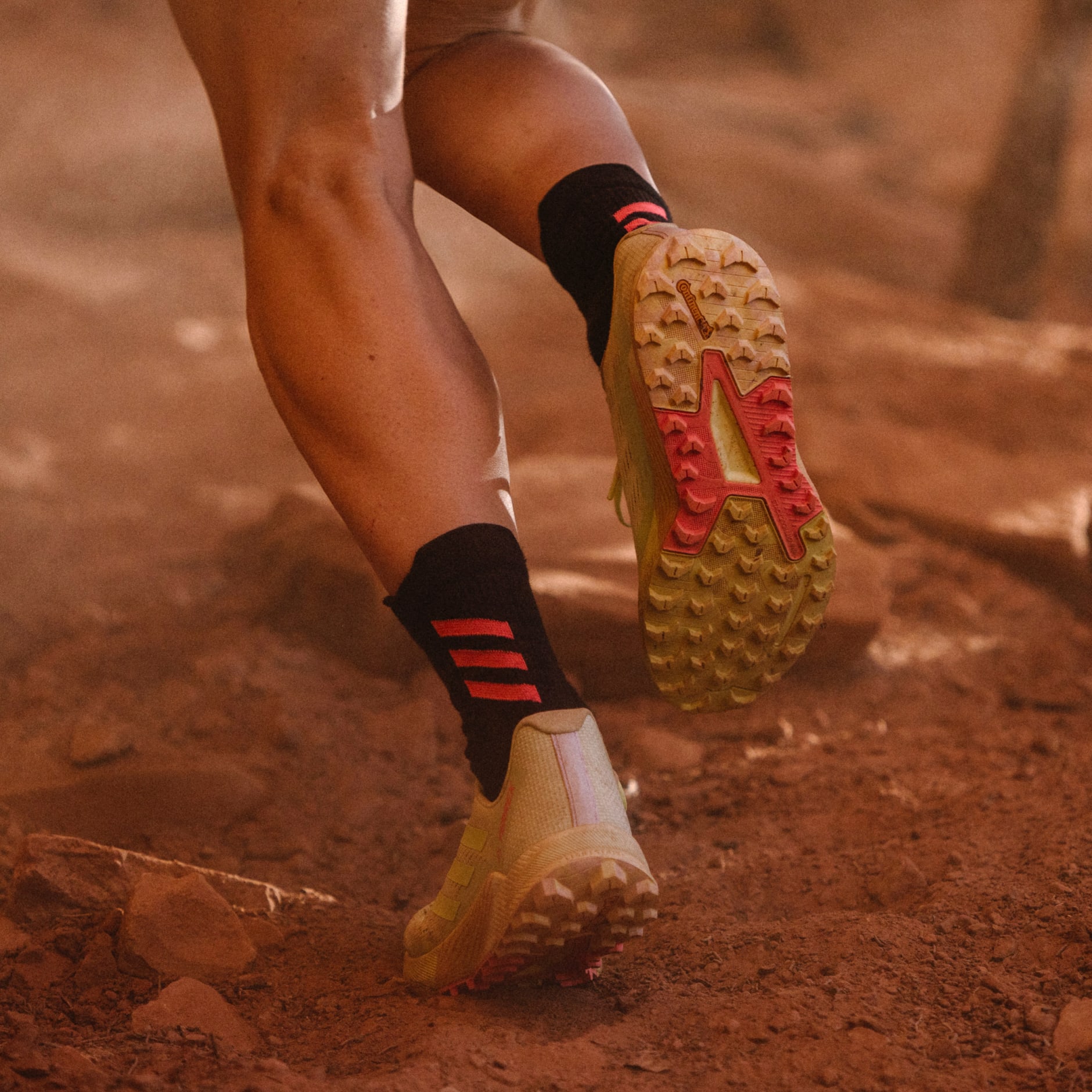 TERREX AGRAVIC FLOW 2 TRAIL RUNNING SHOES