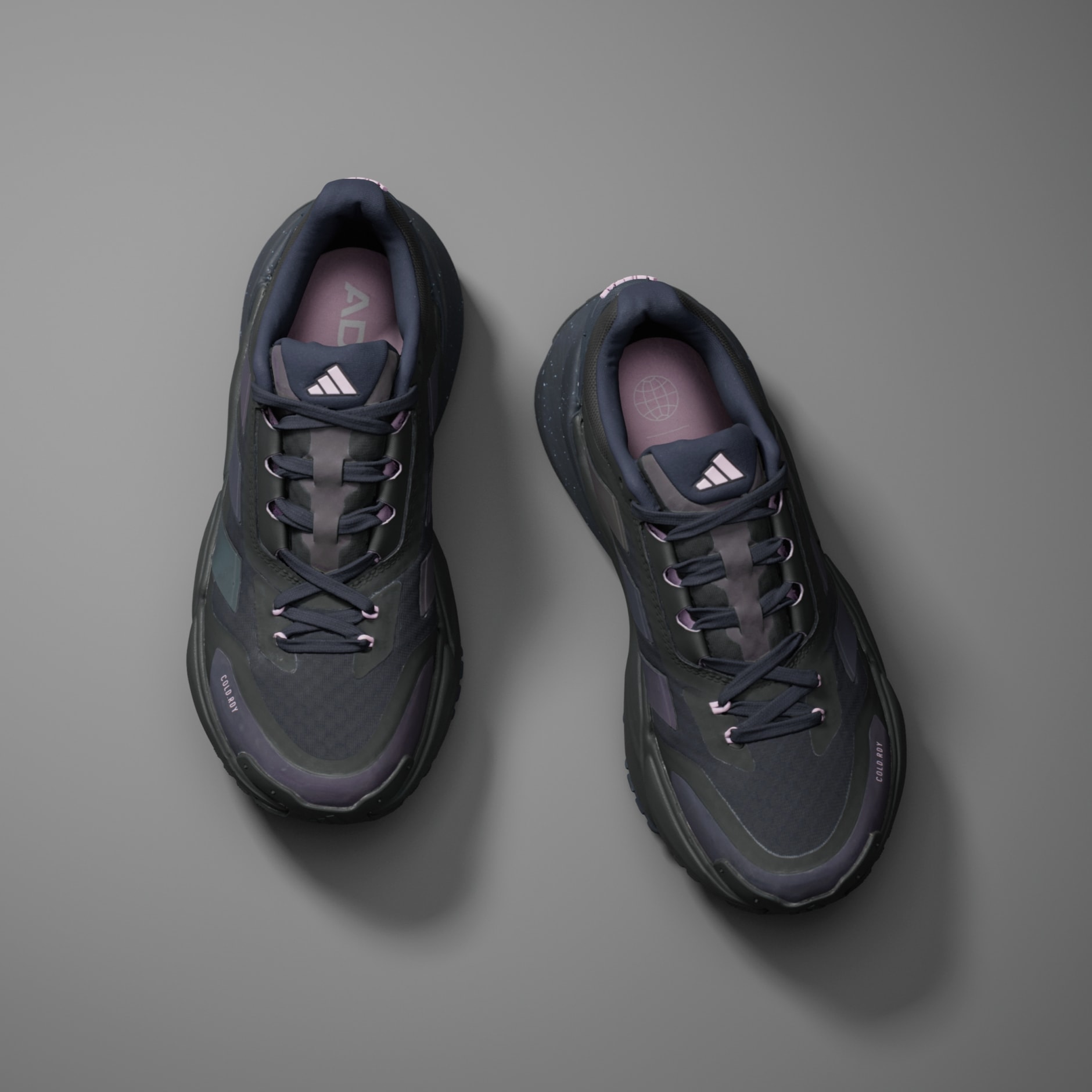 Adistar COLD.RDY Shoes