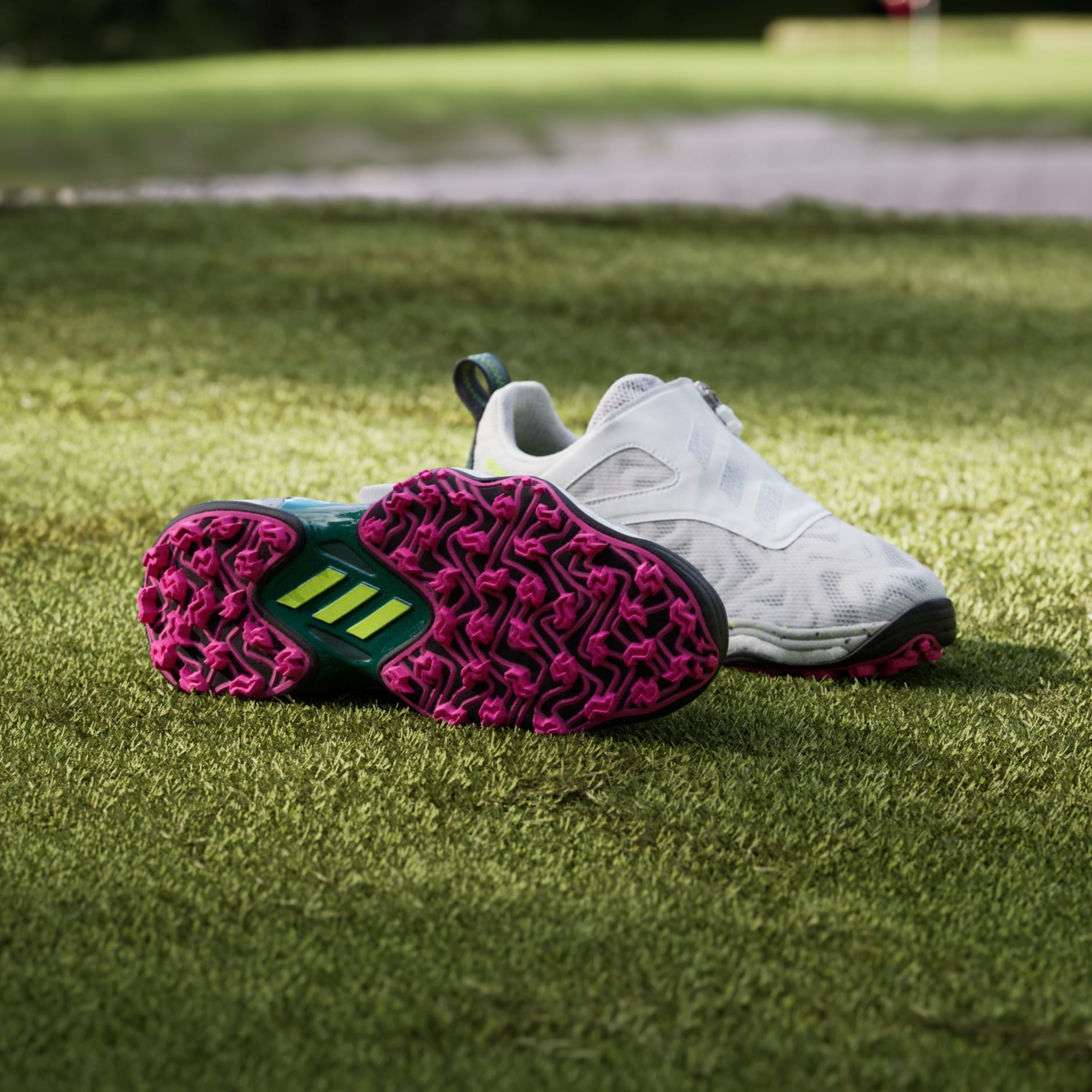 Codechaos Boa 25 Spikeless Golf Shoes - White | adidas Hong Kong