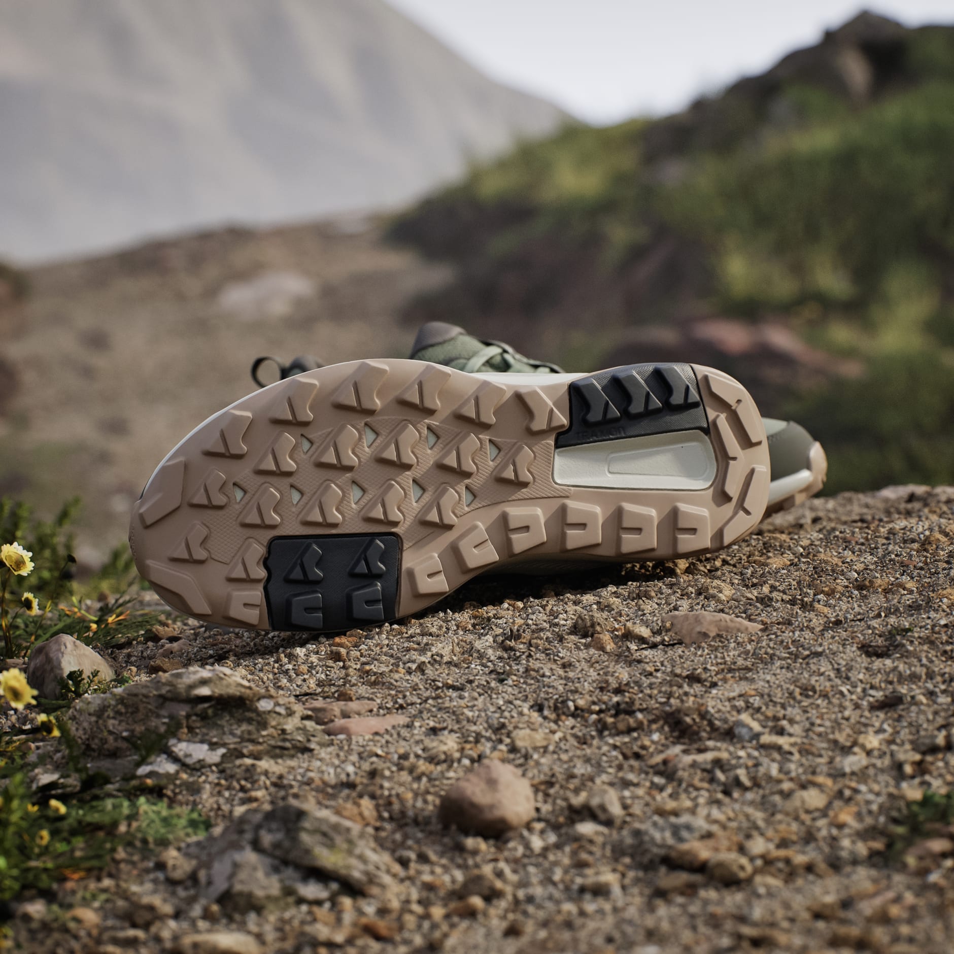 Terrex Anylander Hiking Shoes