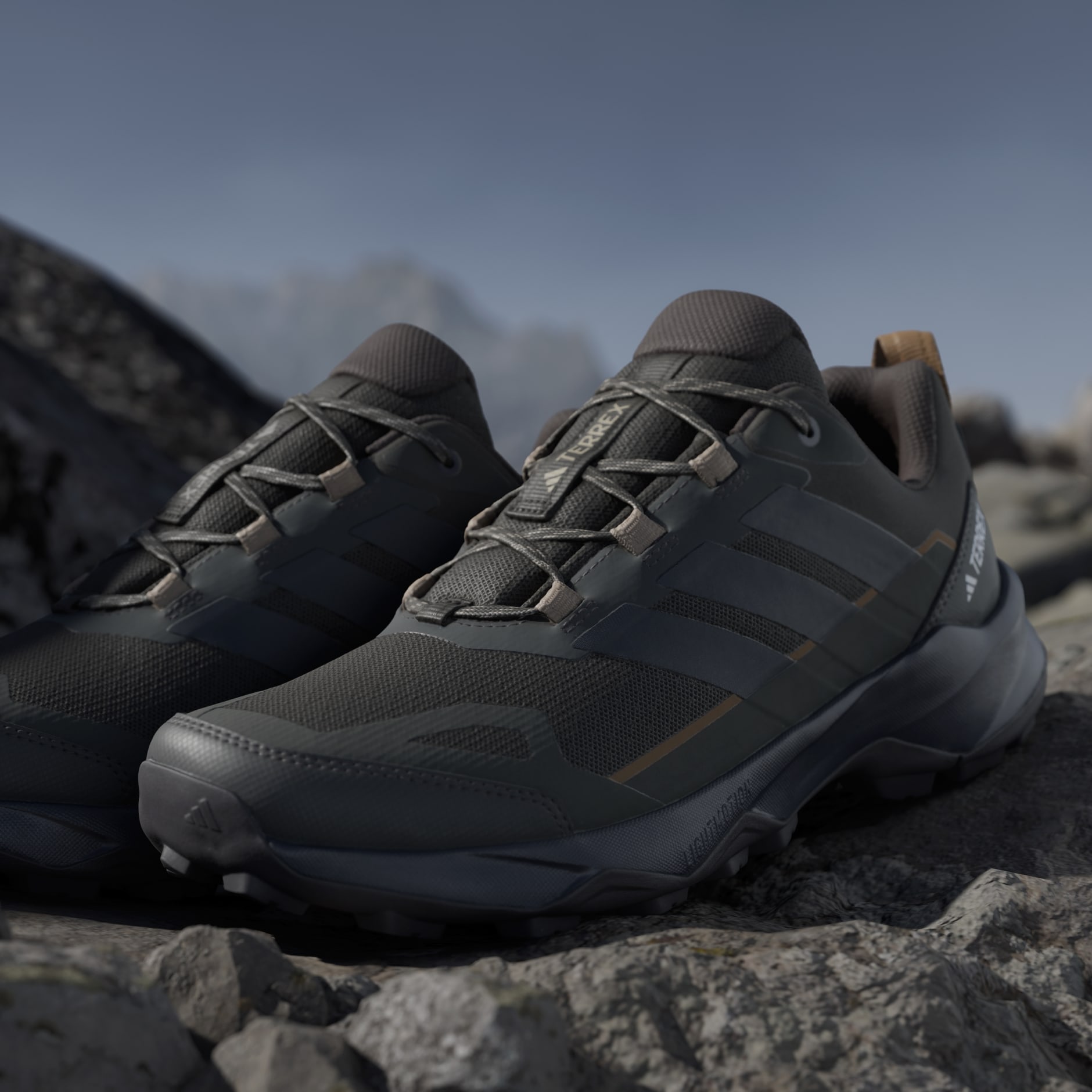 Pantofi de drumeție Terrex Skychaser Ax5