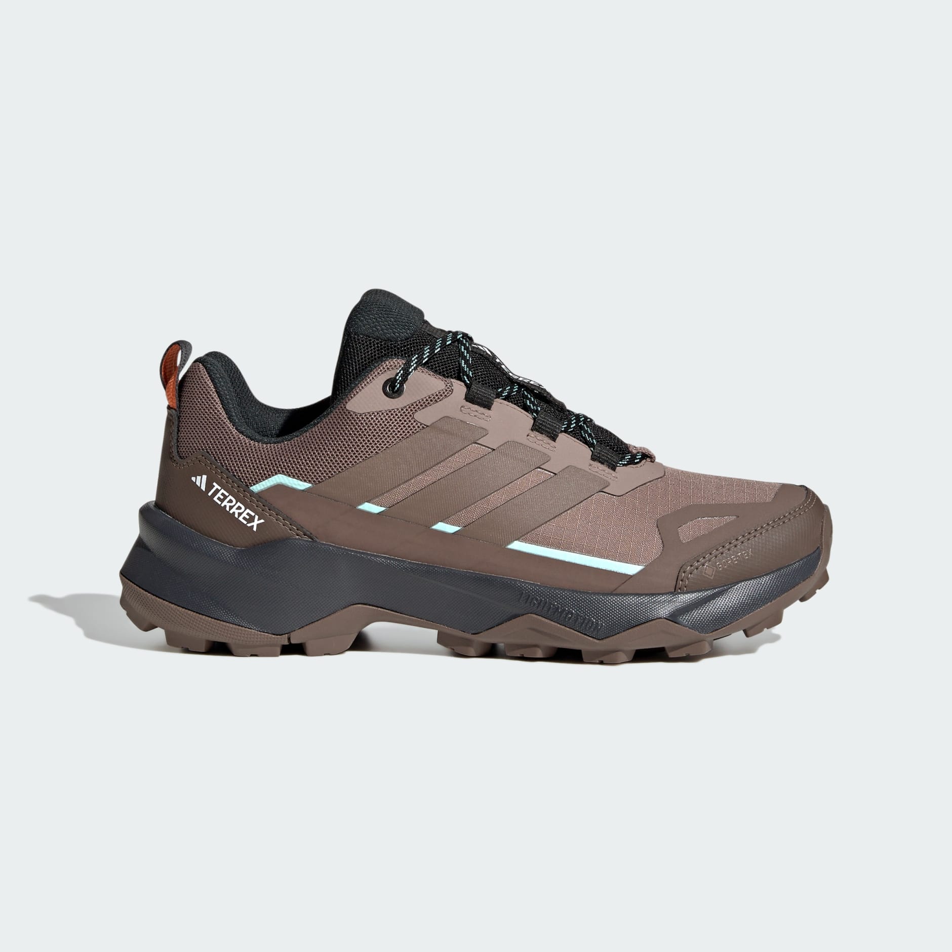 SHOES - Terrex Skychaser AX5 GORE-TEX Hiking Shoes - Brown