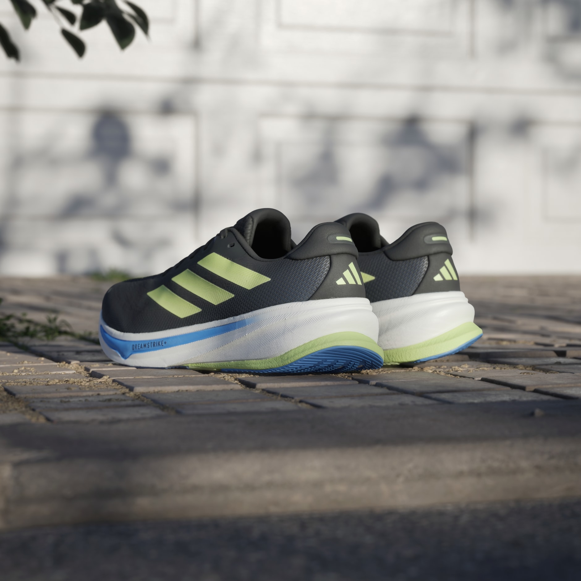 Chaussure de running Supernova Rise 2