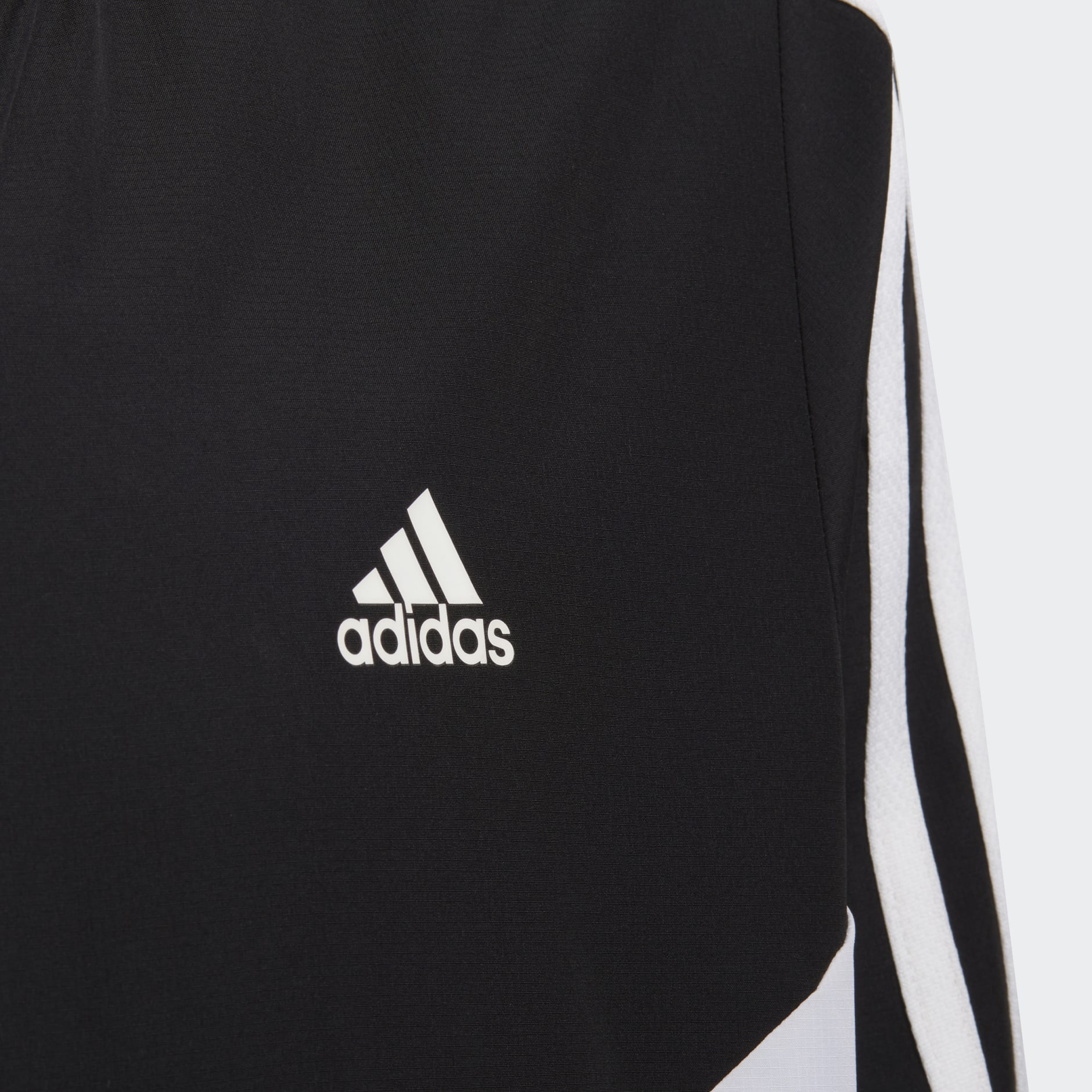 Colorblock Windbreaker
