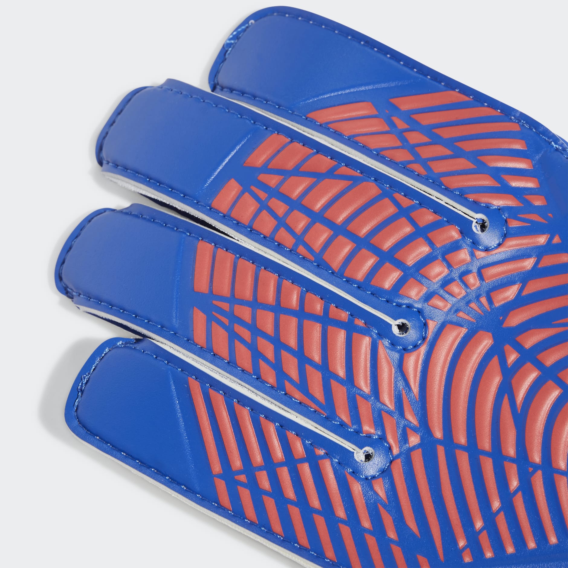 Predator Training Gloves