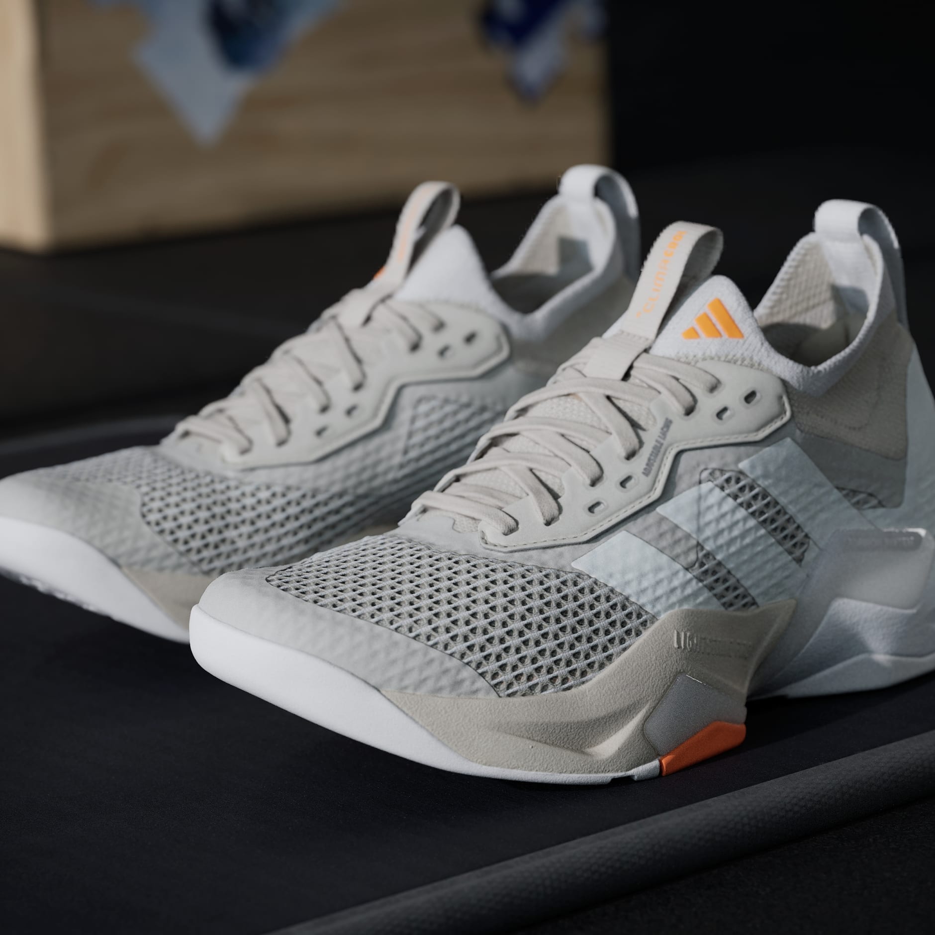 Rapidmove ADV 2 Training Shoes