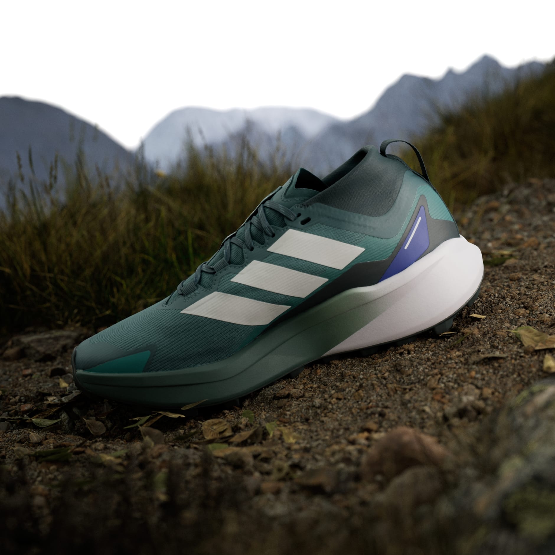 Tenisice za trail trčanje Terrex Agravic GTX