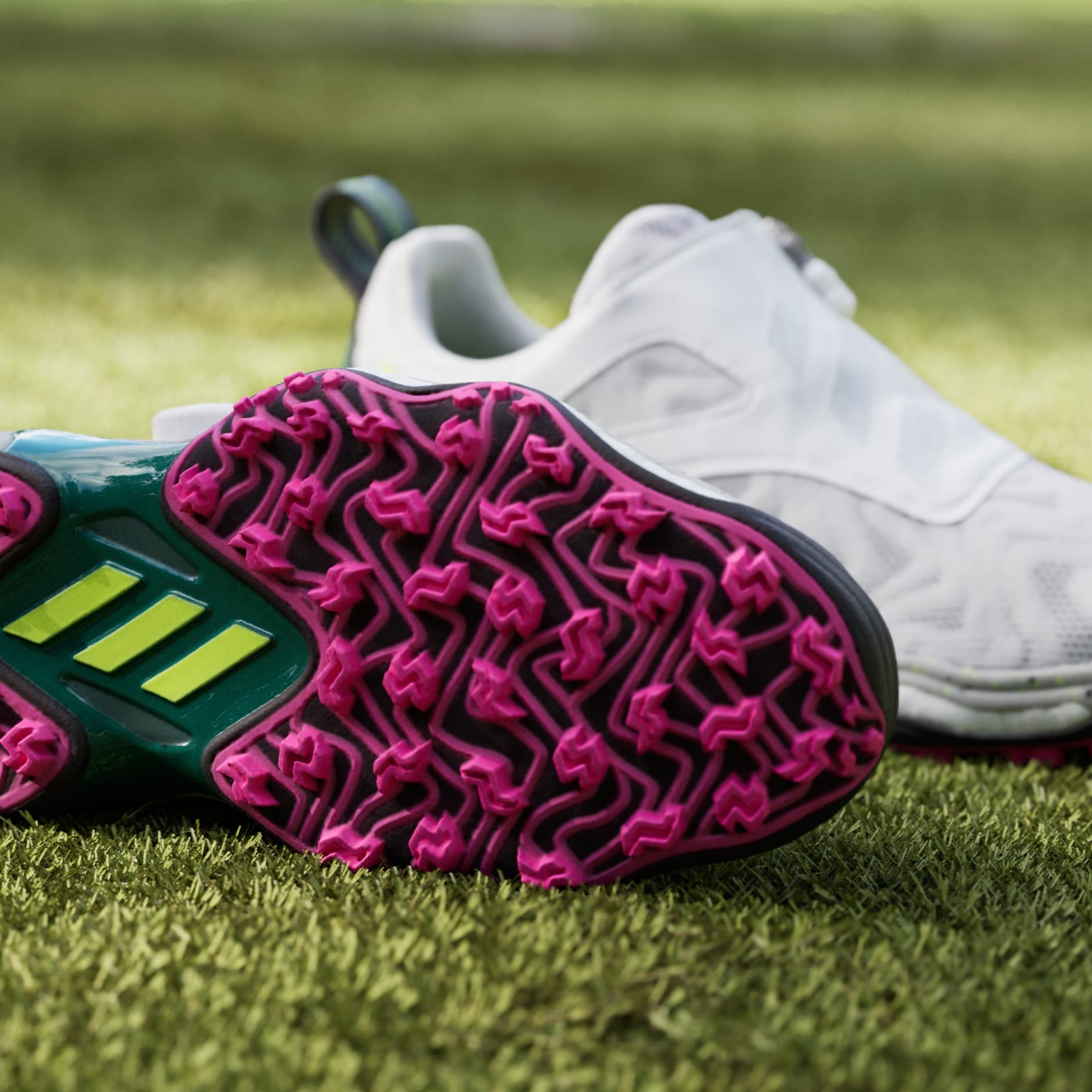 Codechaos Boa 25 Spikeless Golf Shoes - White | adidas Hong Kong