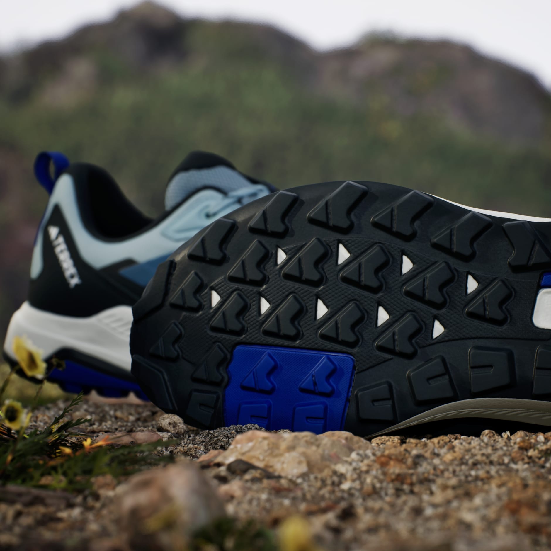 Terrex Anylander Hiking Shoes