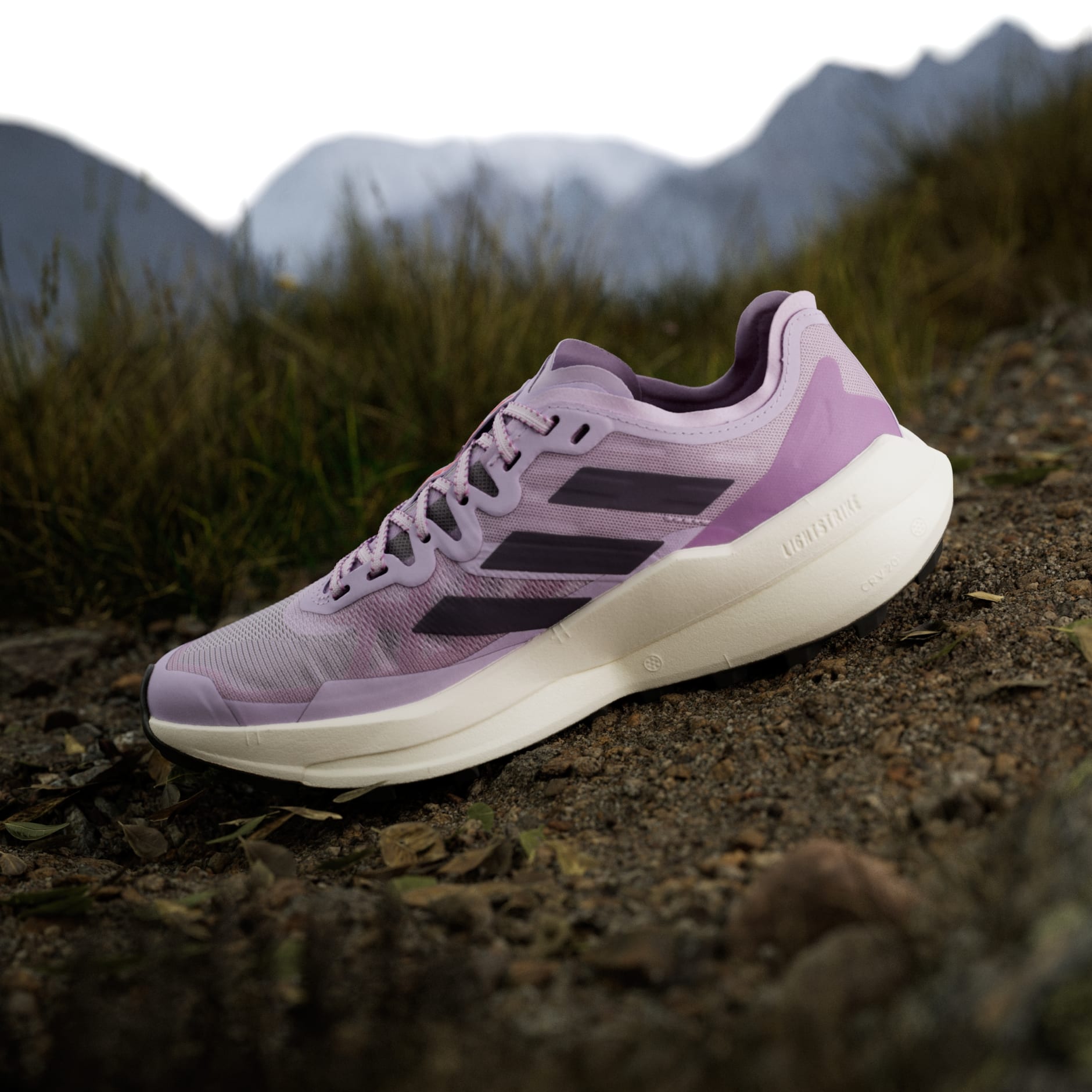  Pantofi de alergare pe poteci Terrex Agravic Speed