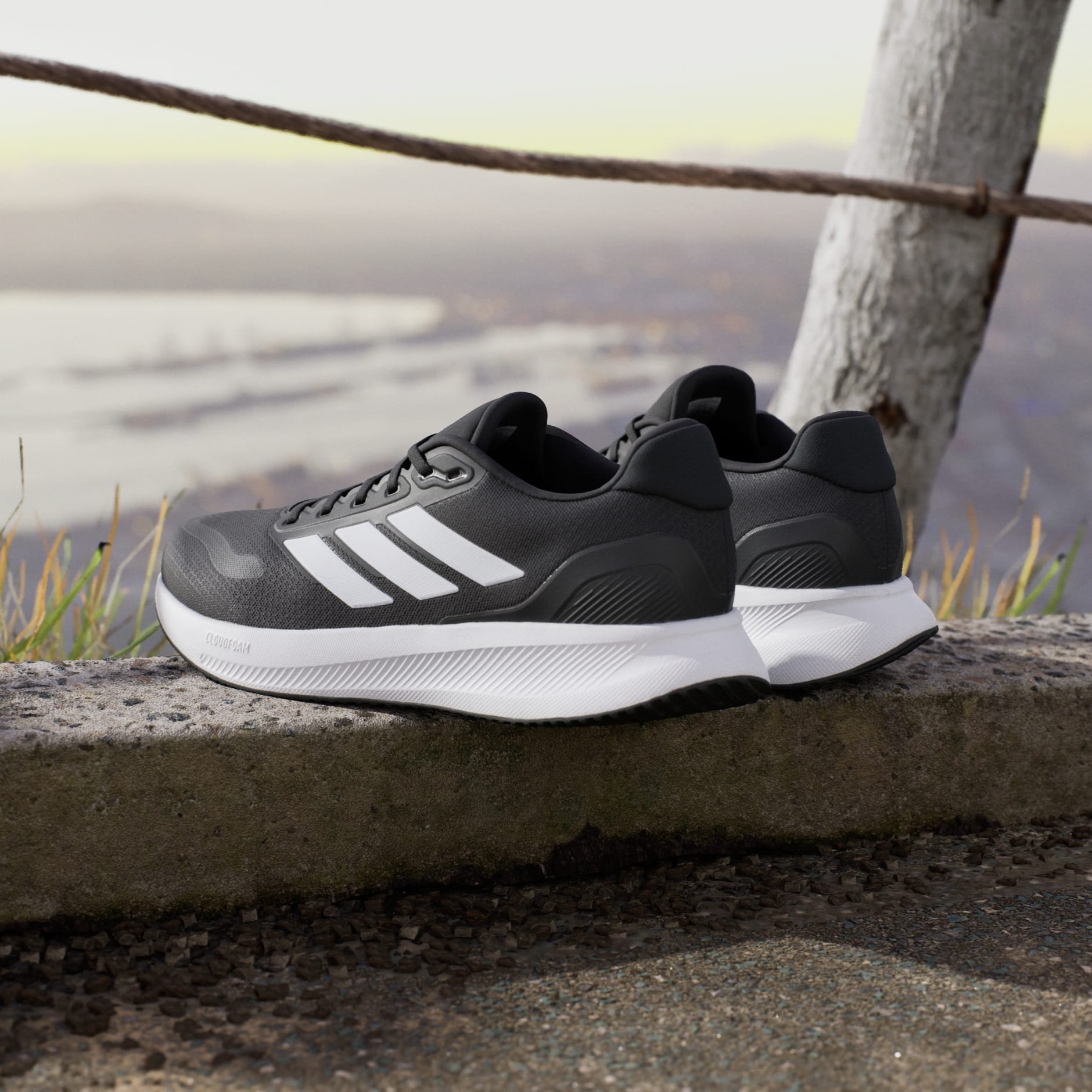 Runfalcon 5 Running Shoes