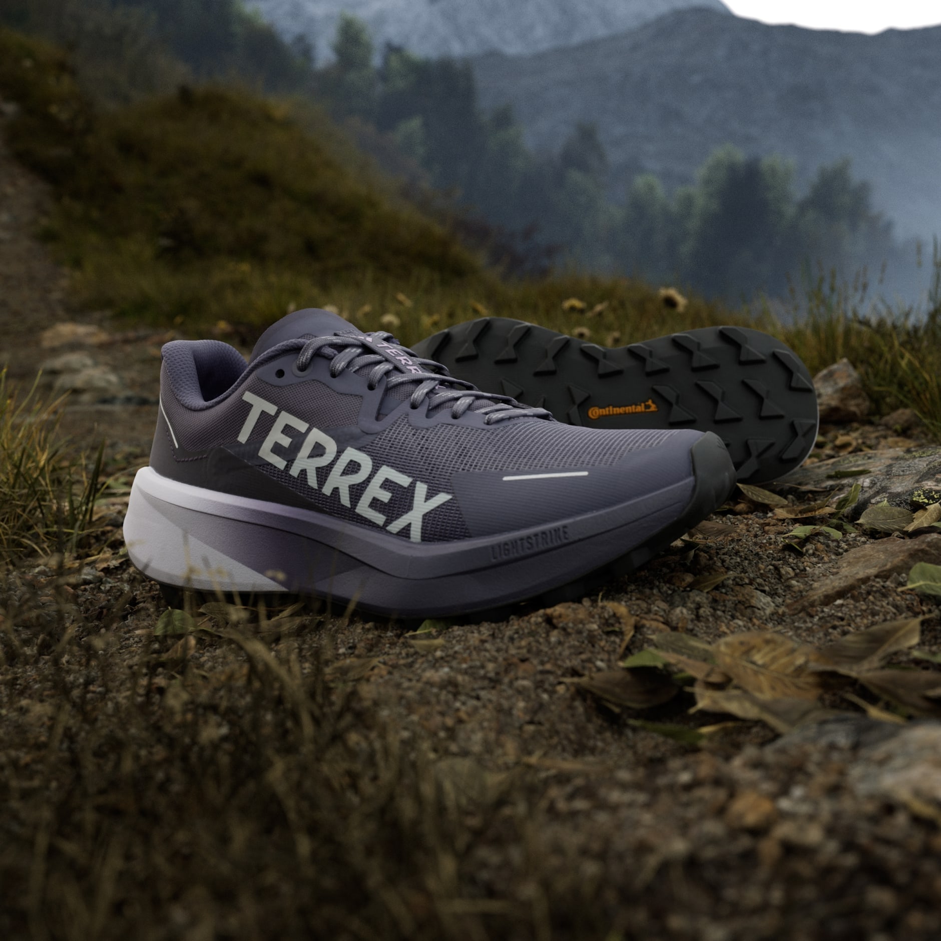 Pantofi de alergare pe traseu Terrex Agravic 3