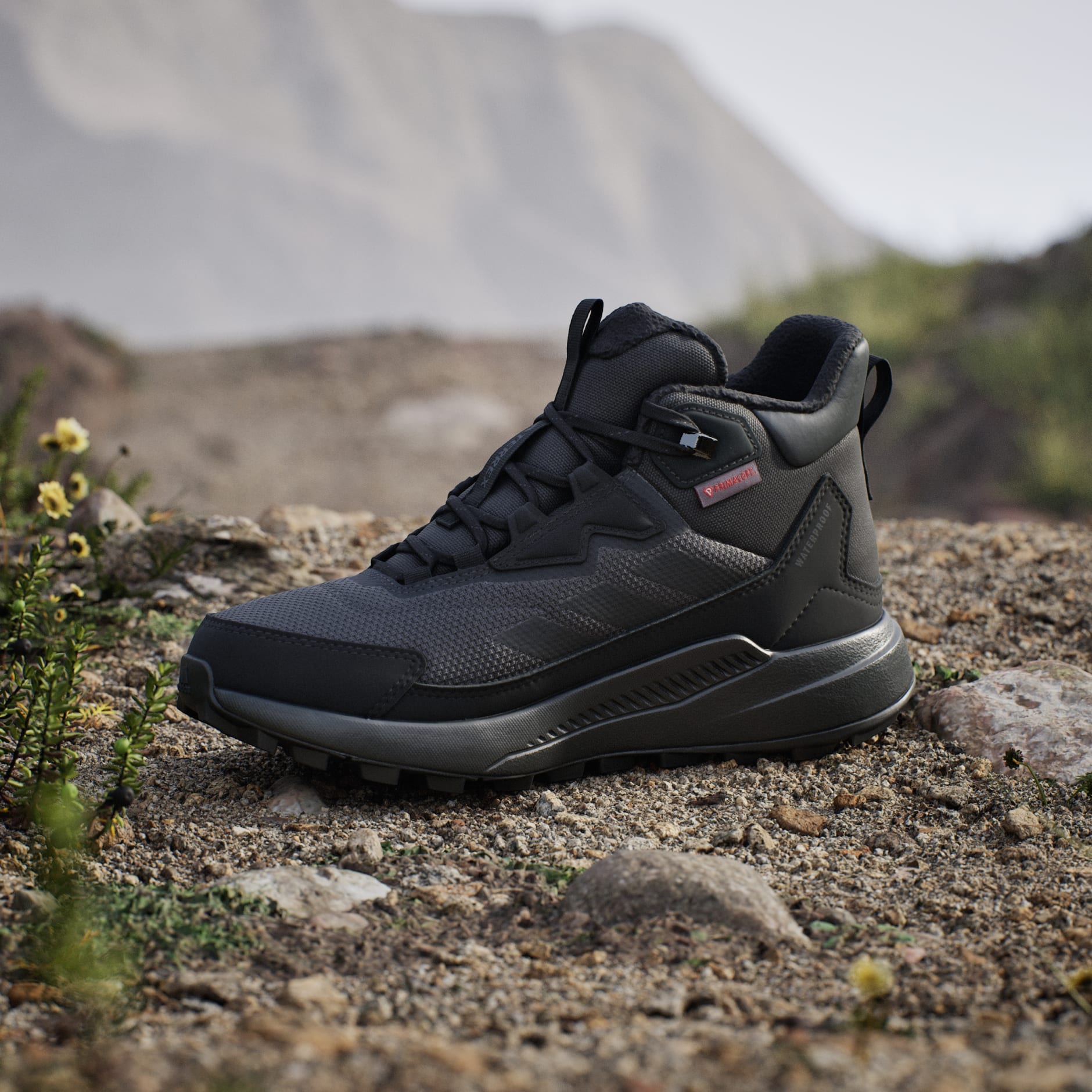 Ghete de drumeție Terrex Anylander CLIMAWARM+