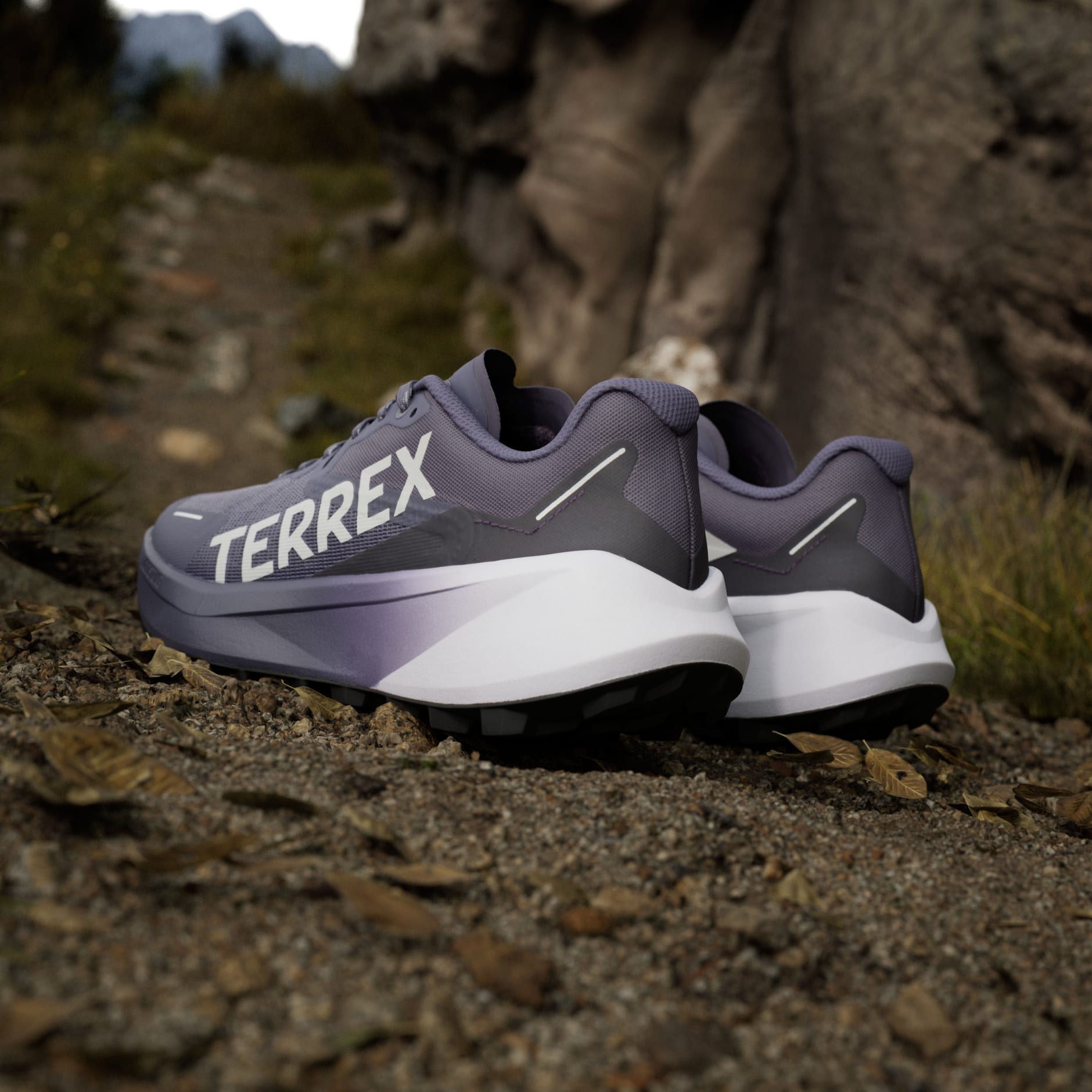 Pantofi de alergare pe traseu Terrex Agravic 3