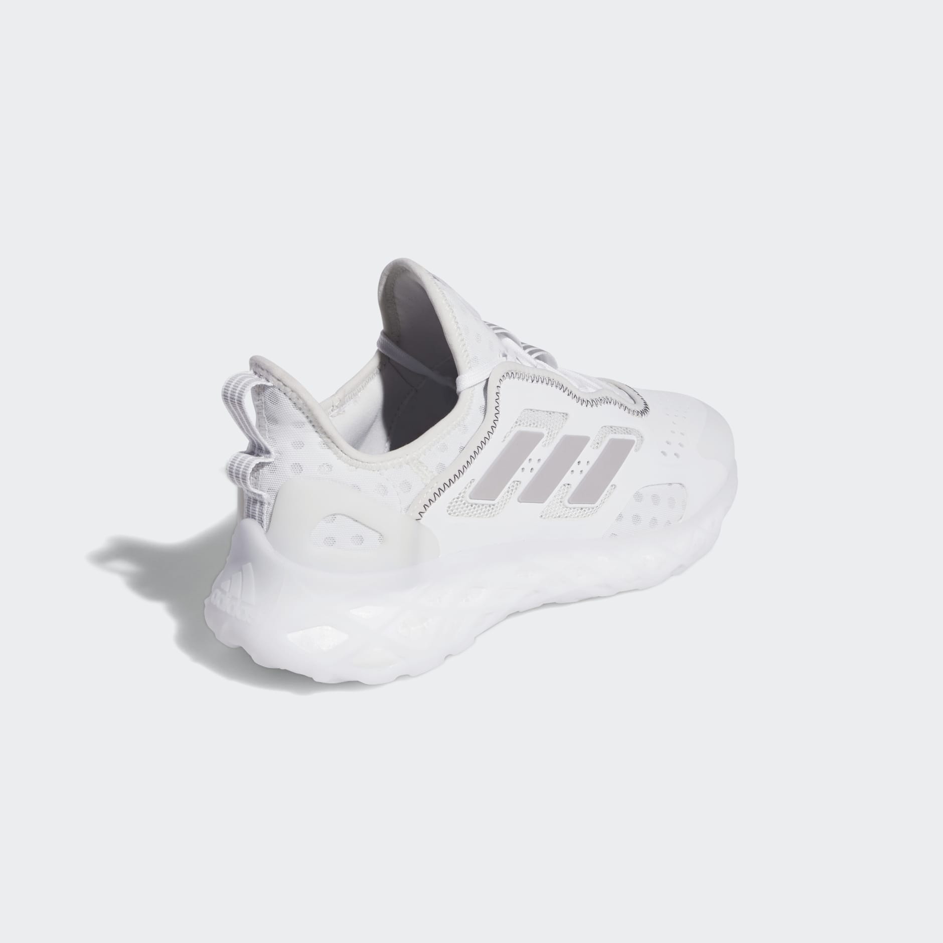 Tenis Web Boost