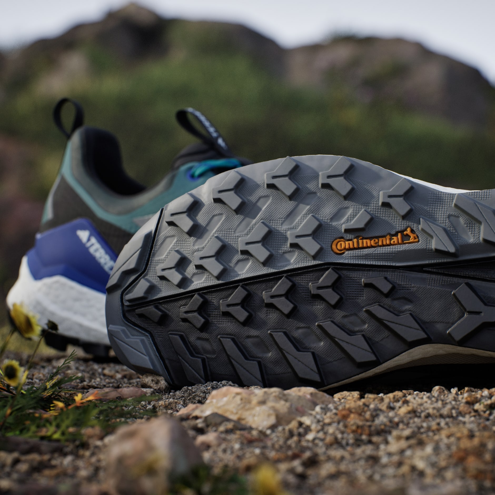 حذاء Terrex Free Hiker 2.0 Low Gore-Tex للمشي لمسافات طويلة