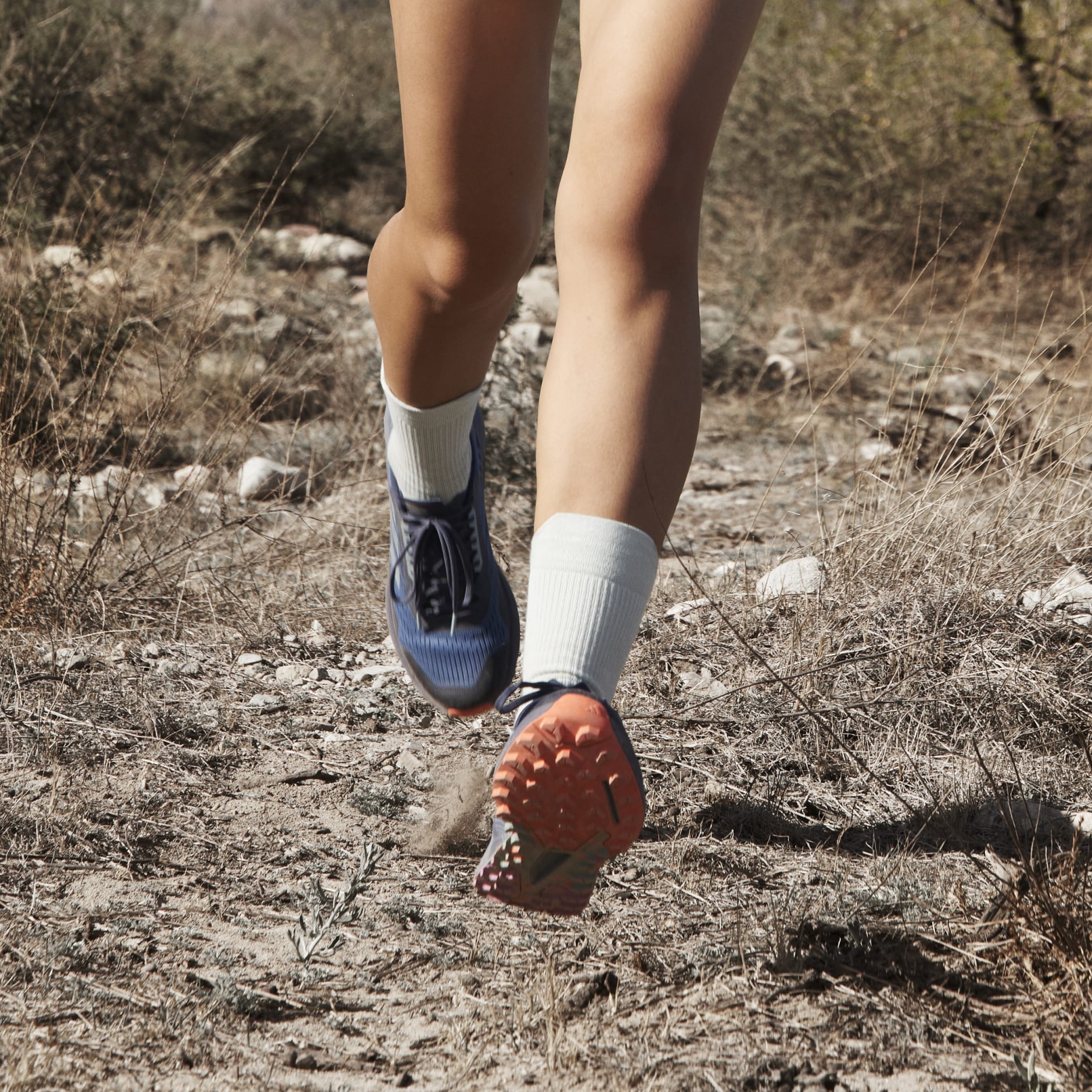 TERREX AGRAVIC FLOW 2 TRAIL RUNNING SHOES