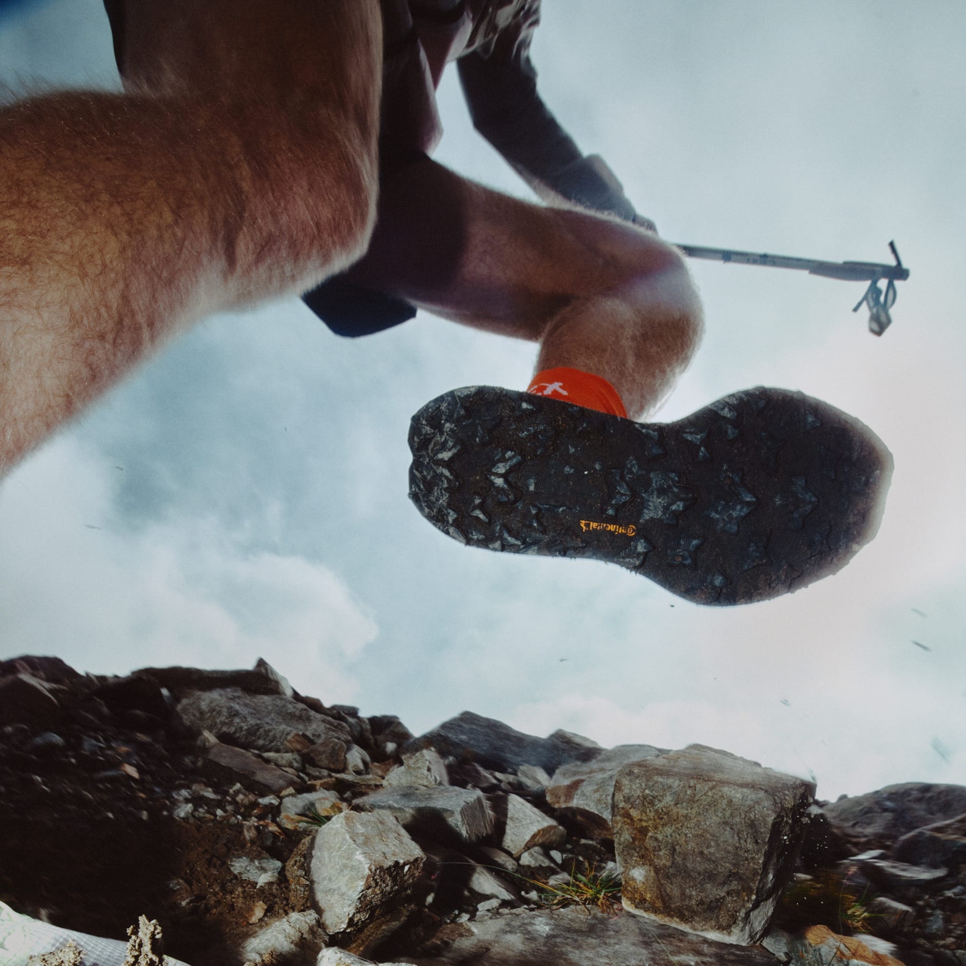 Pantofi de alergare pe traseu Terrex Agravic TT