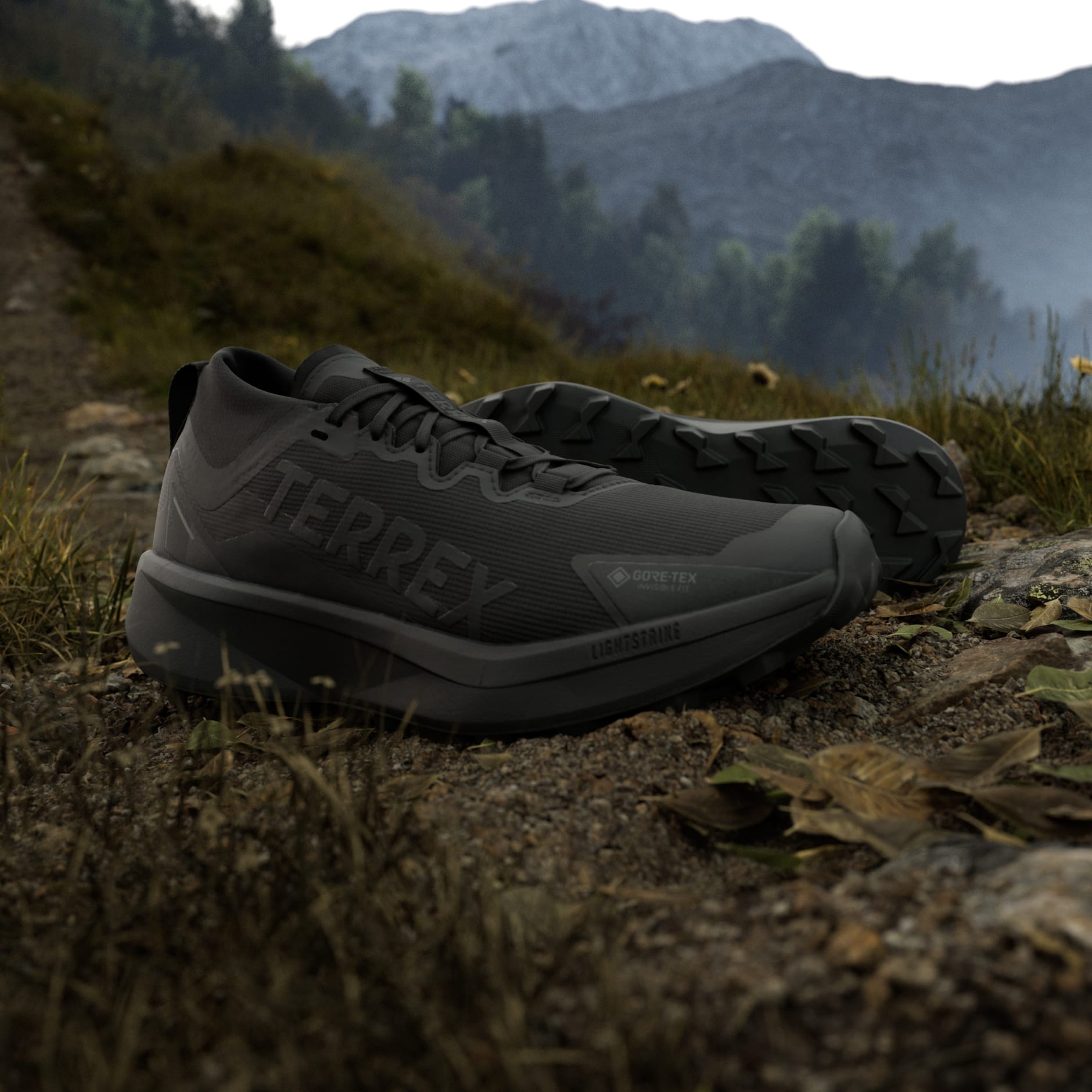 Pantofi de alergat pe trasee Terrex Agravic GTX