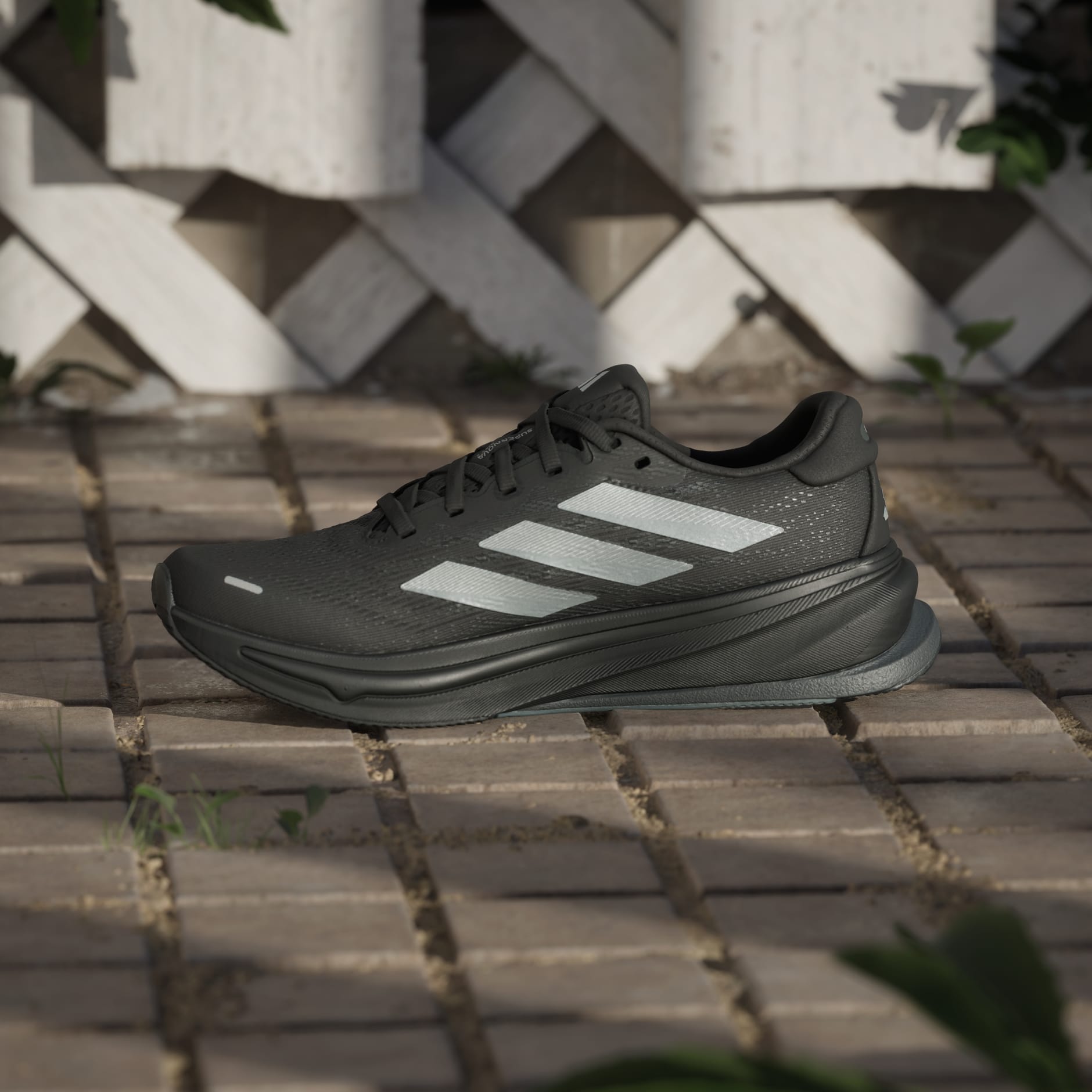 Pantofi de alergare Supernova Rise 2