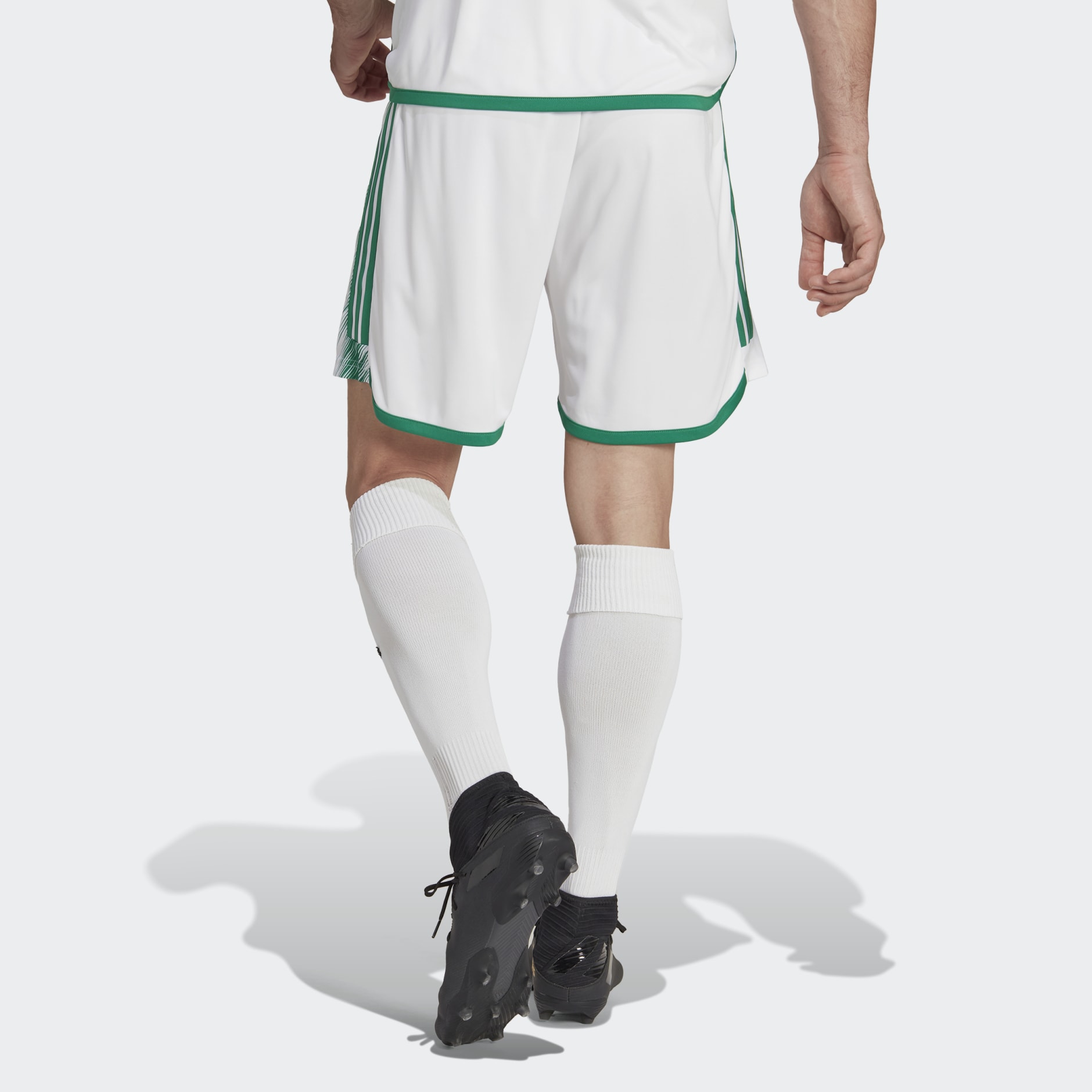 Algeria 22 Home Shorts