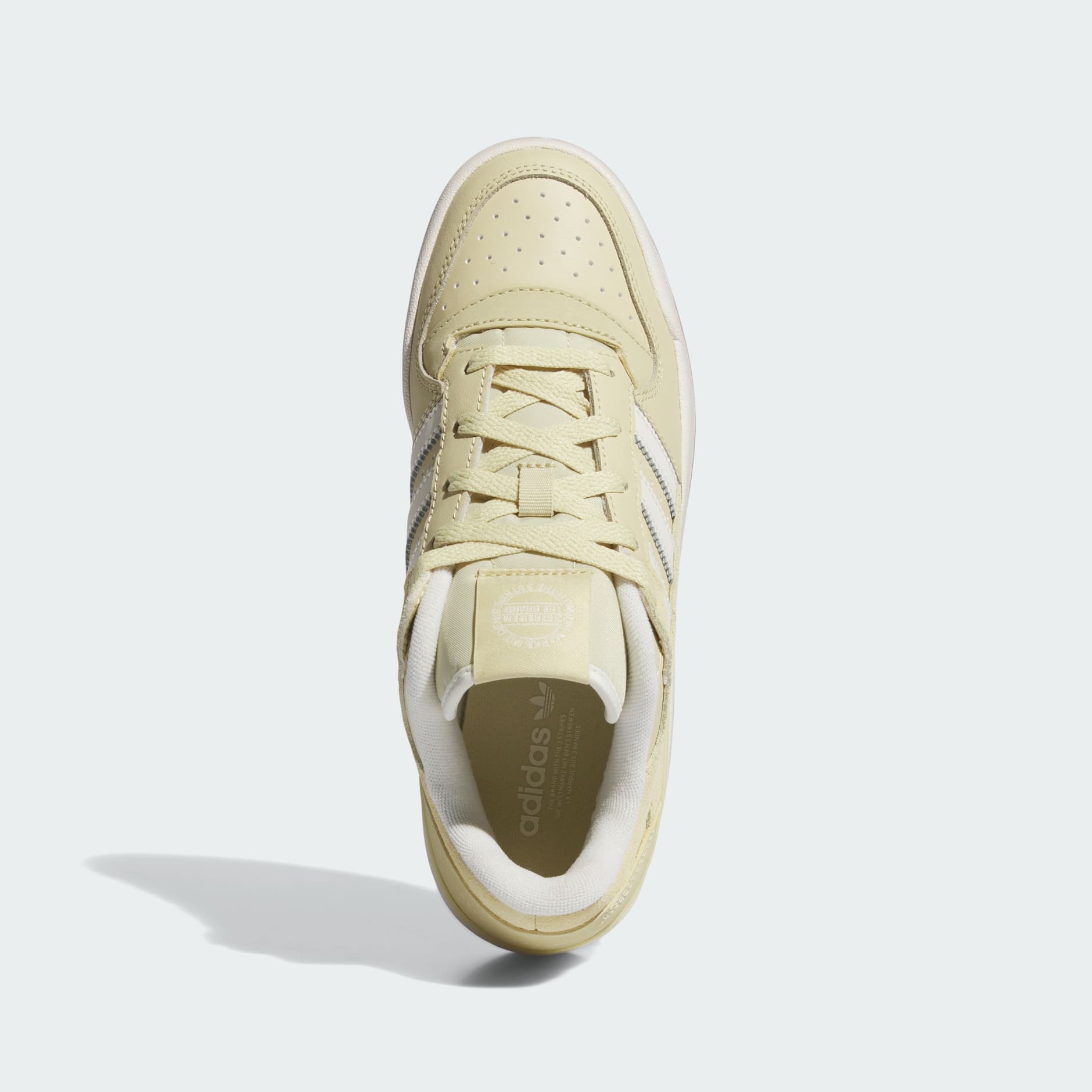 Tenis Forum Low