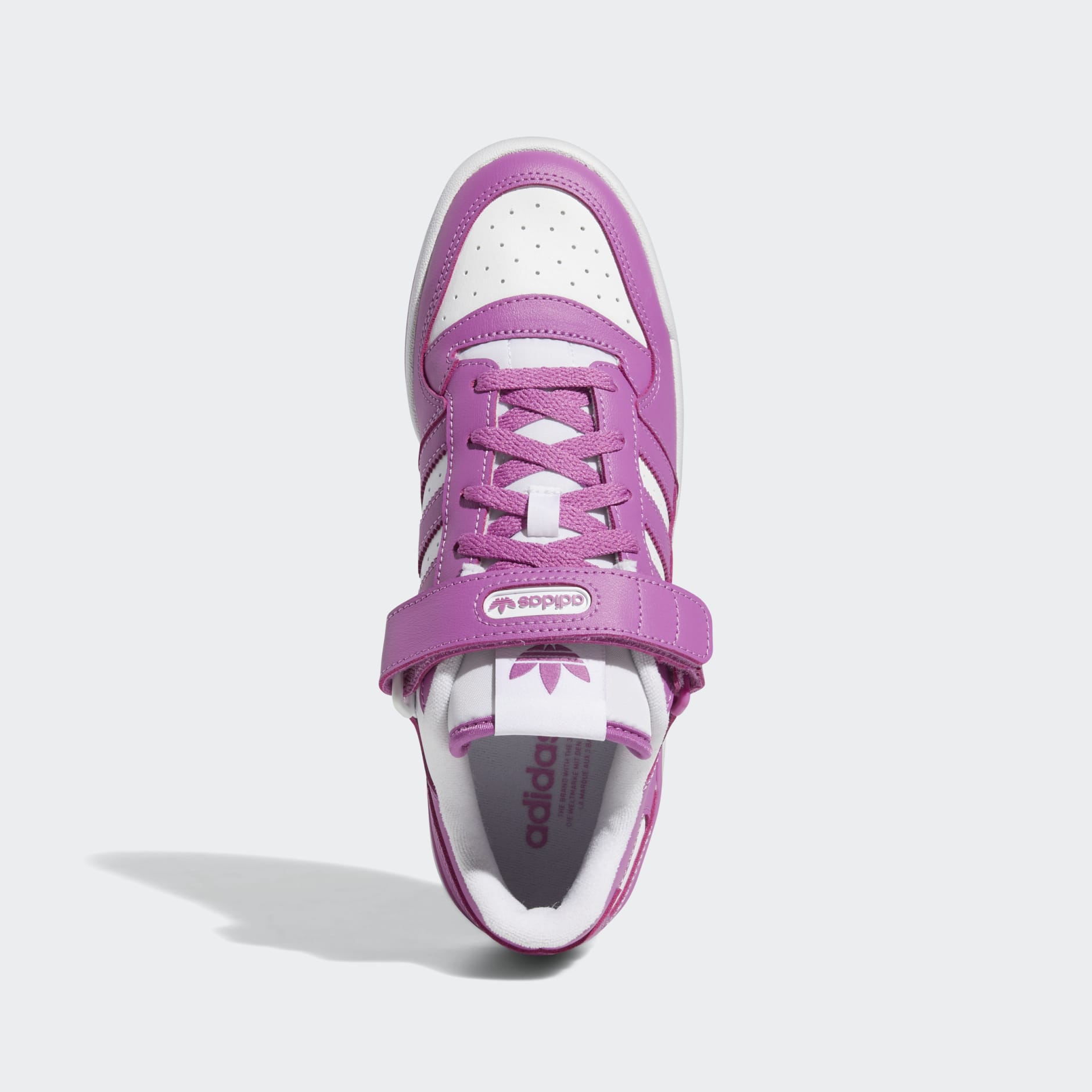 Tenis Forum Low