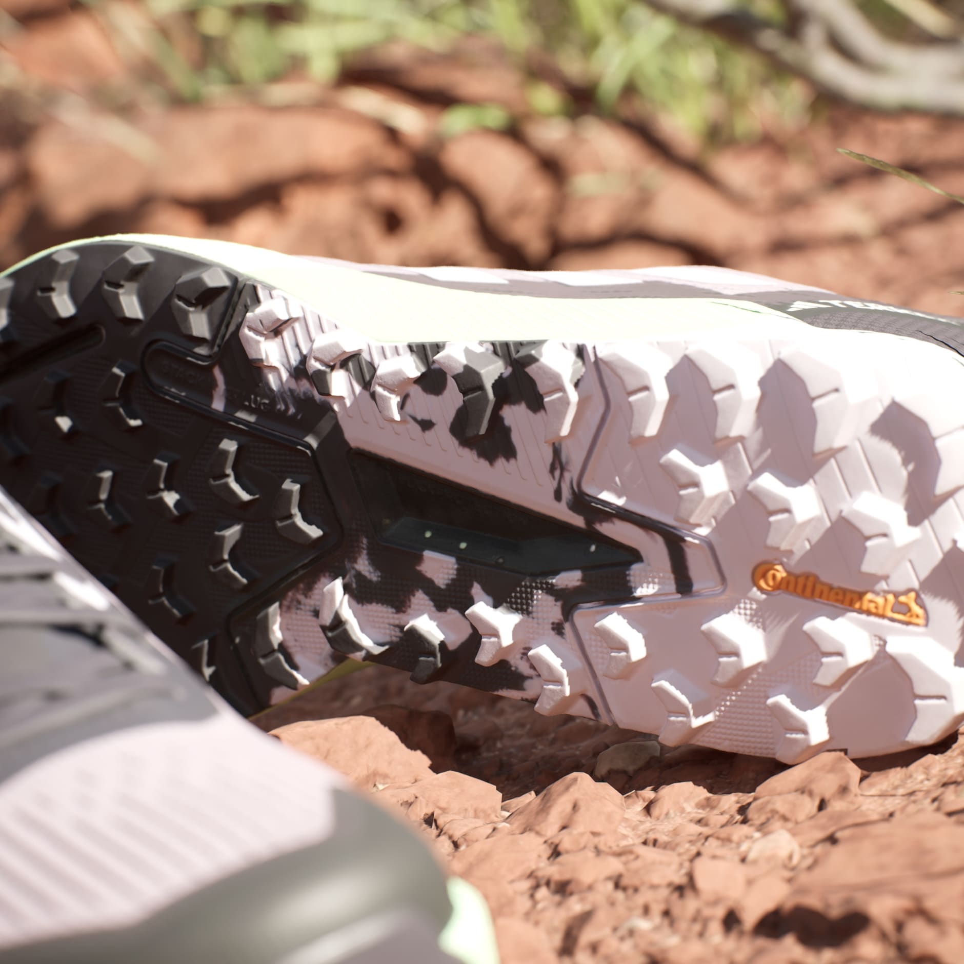 Tenis Terrex Agravic Flow Trail Running 2.0