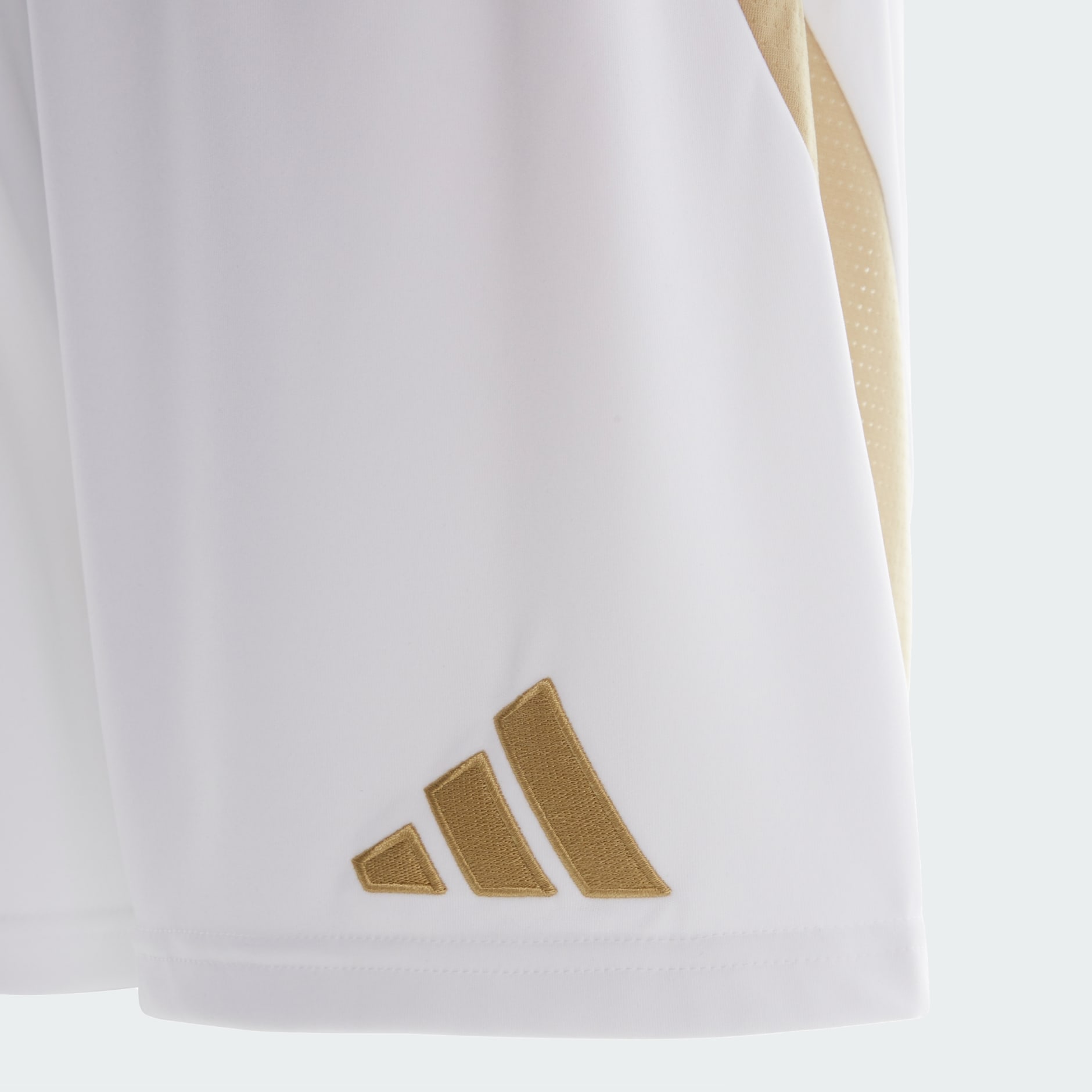 AL AHLY 2024 HOME SHORTS MEN