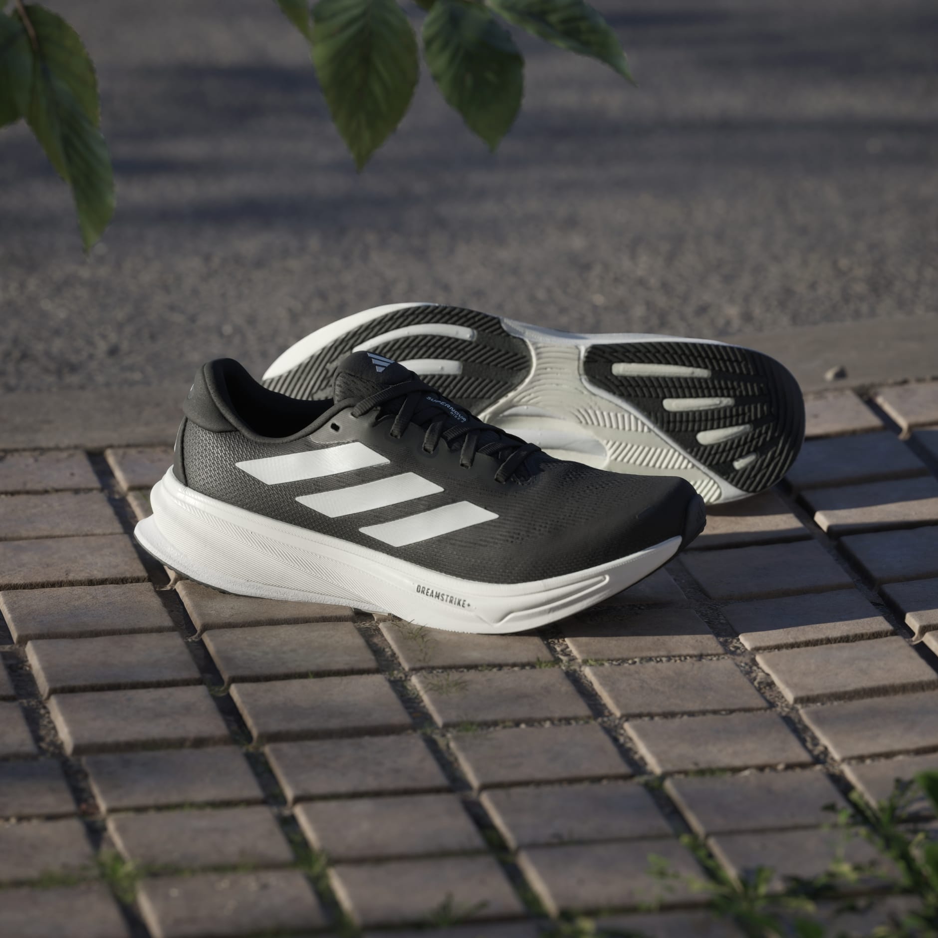 حذاء Supernova Rise 2 Running