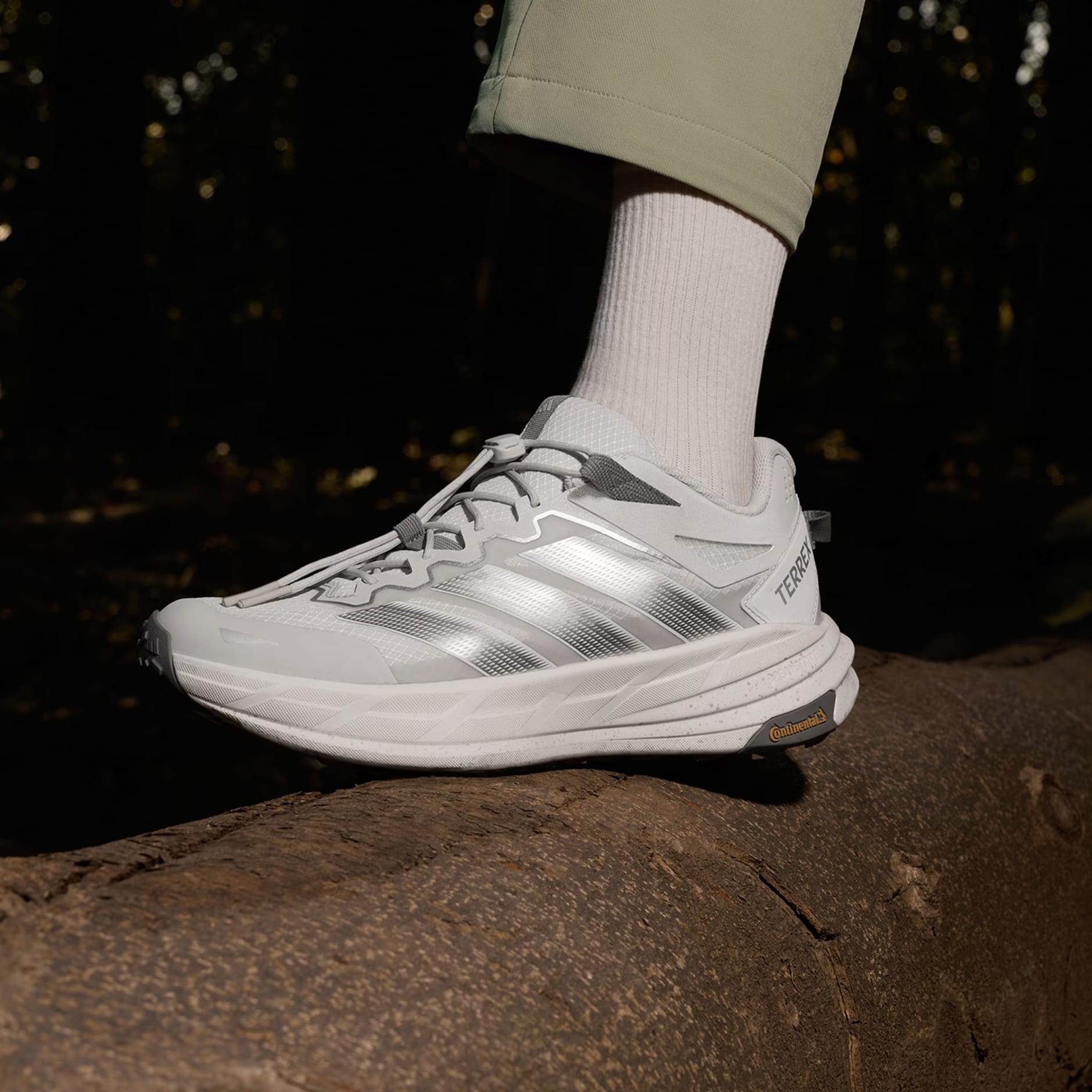 Terrex Freehiker LT 鞋