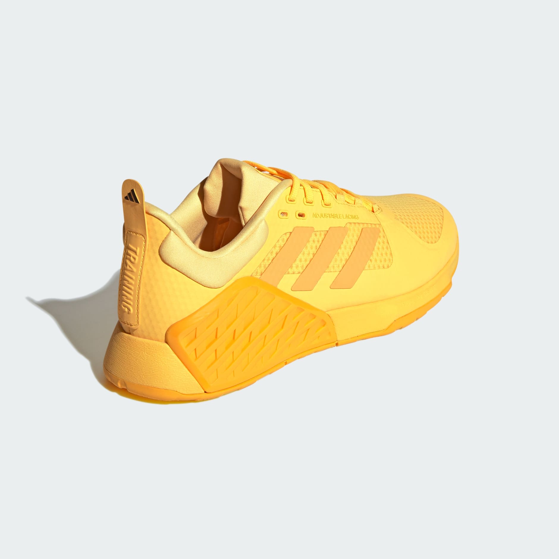 Dropset 2 Trainer