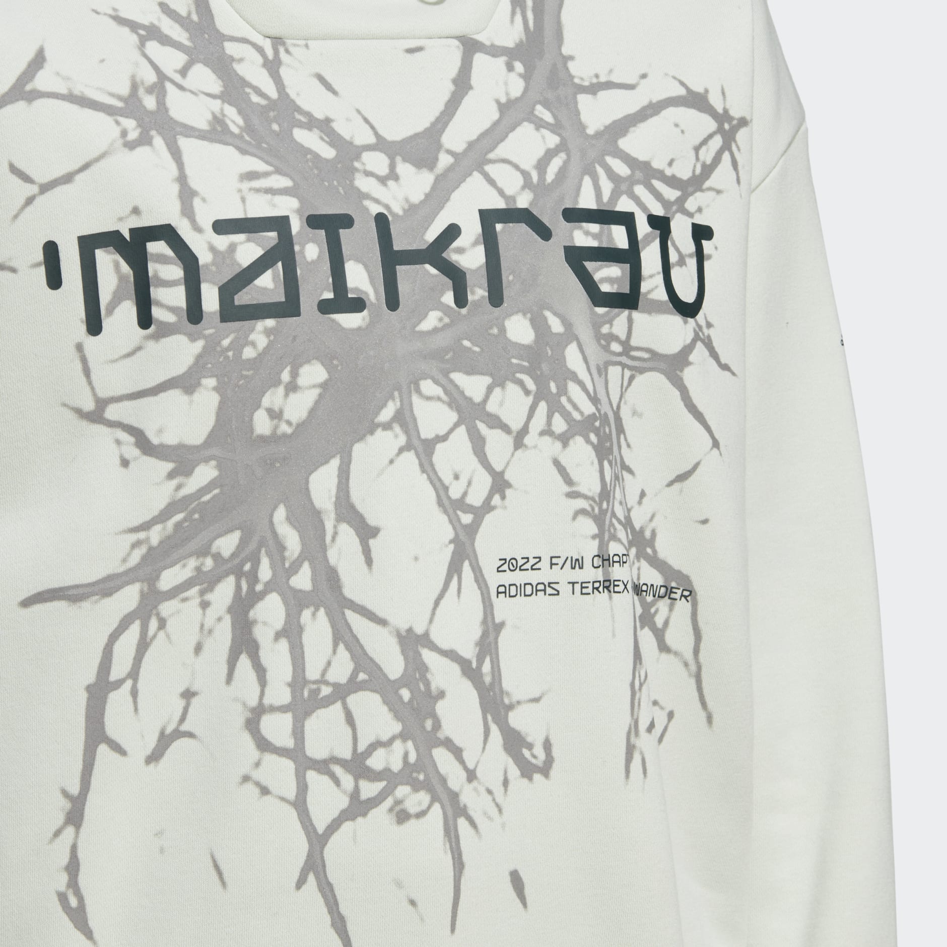 Terrex x and wander Graphic Hoodie