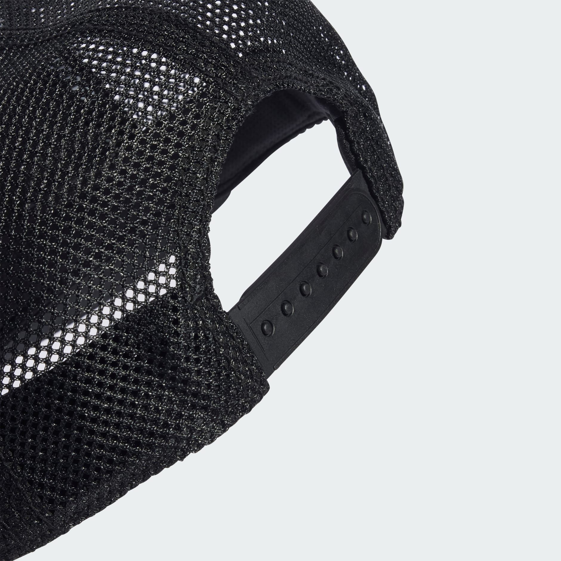 Mrežasta &scaron;ilterica DSV