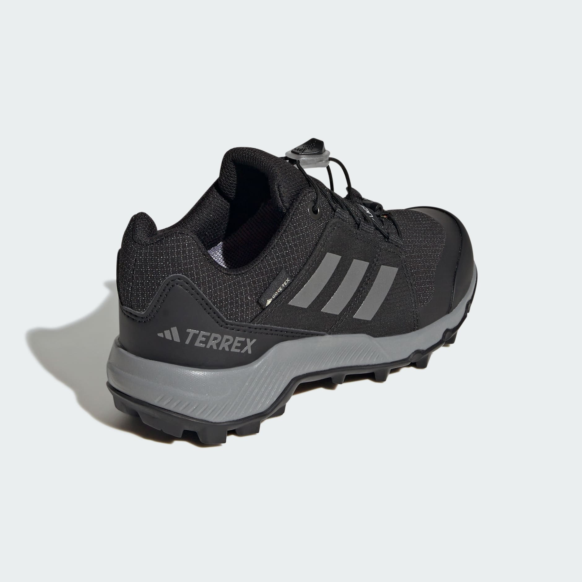 Terrex GORE-TEX Hiking Shoes