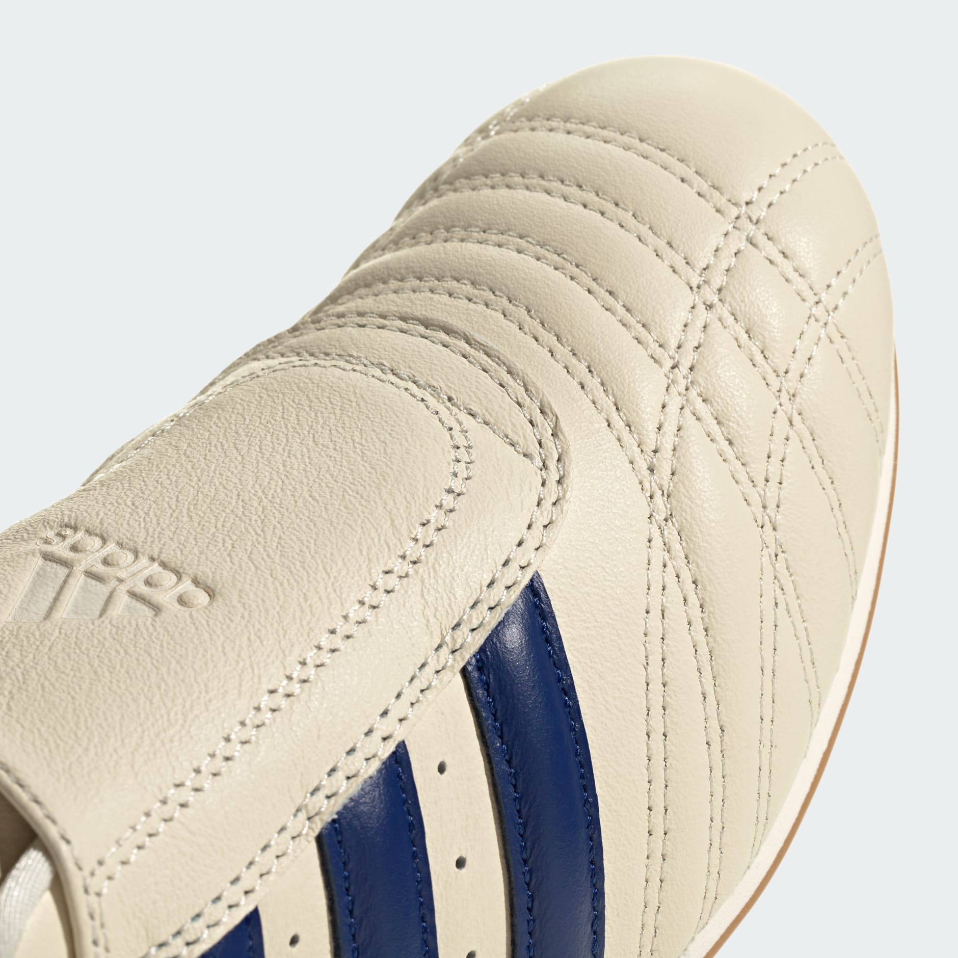 Adidas Taekwondo Shoes