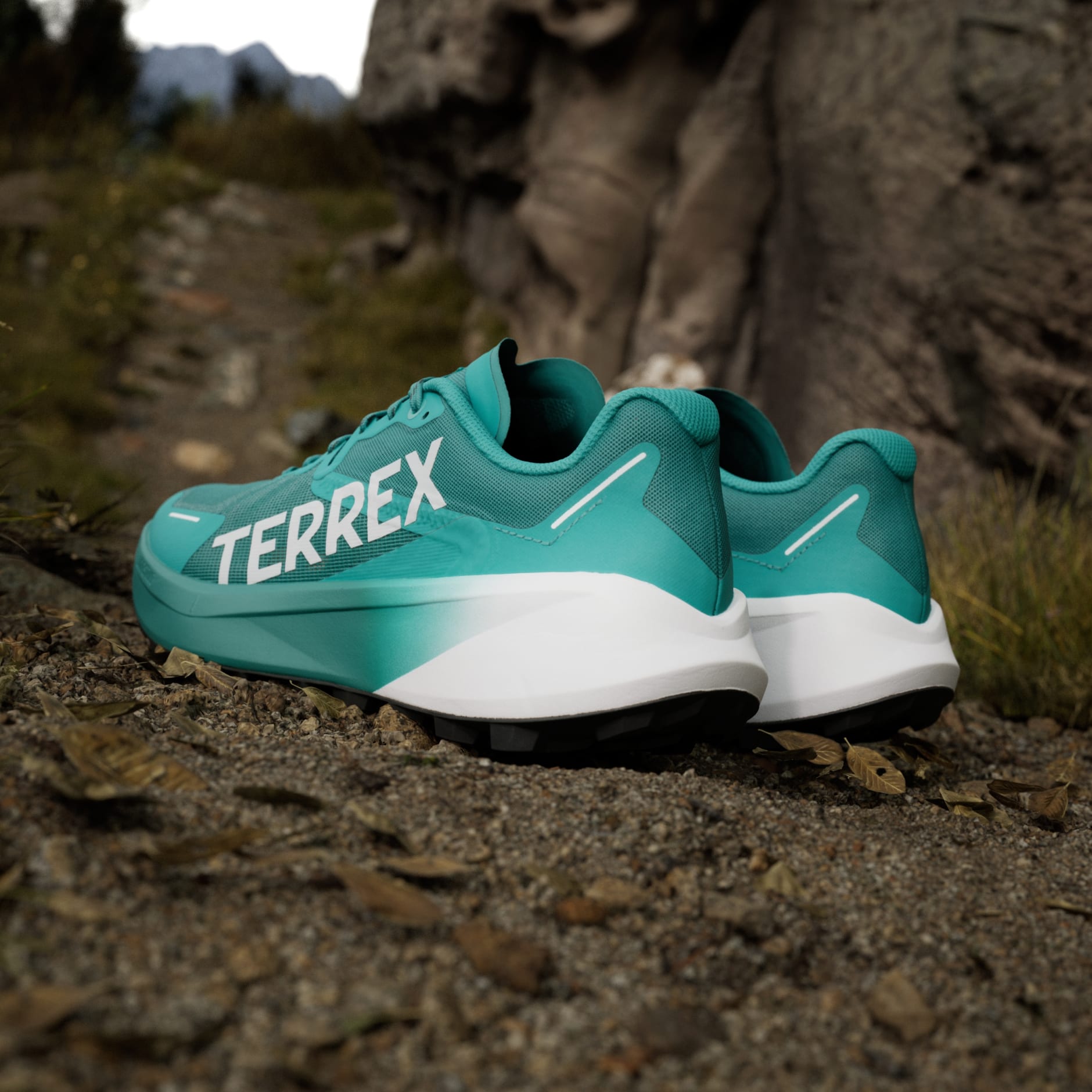 Terrex Agravic 3 Trail Running Shoes