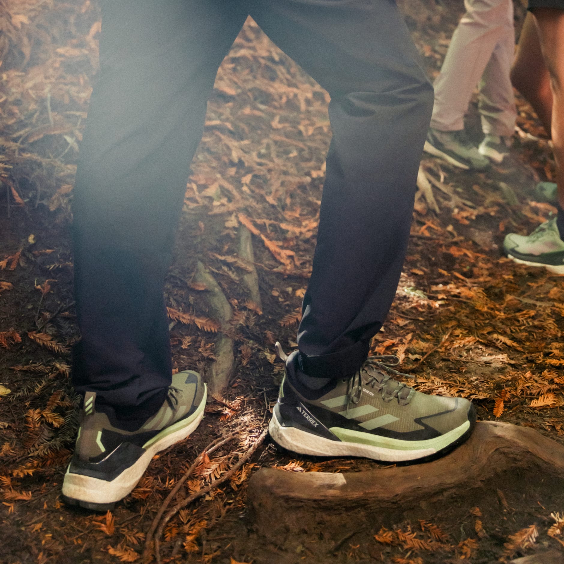 FREE HIKER 2.0 LOW GORE-TEX