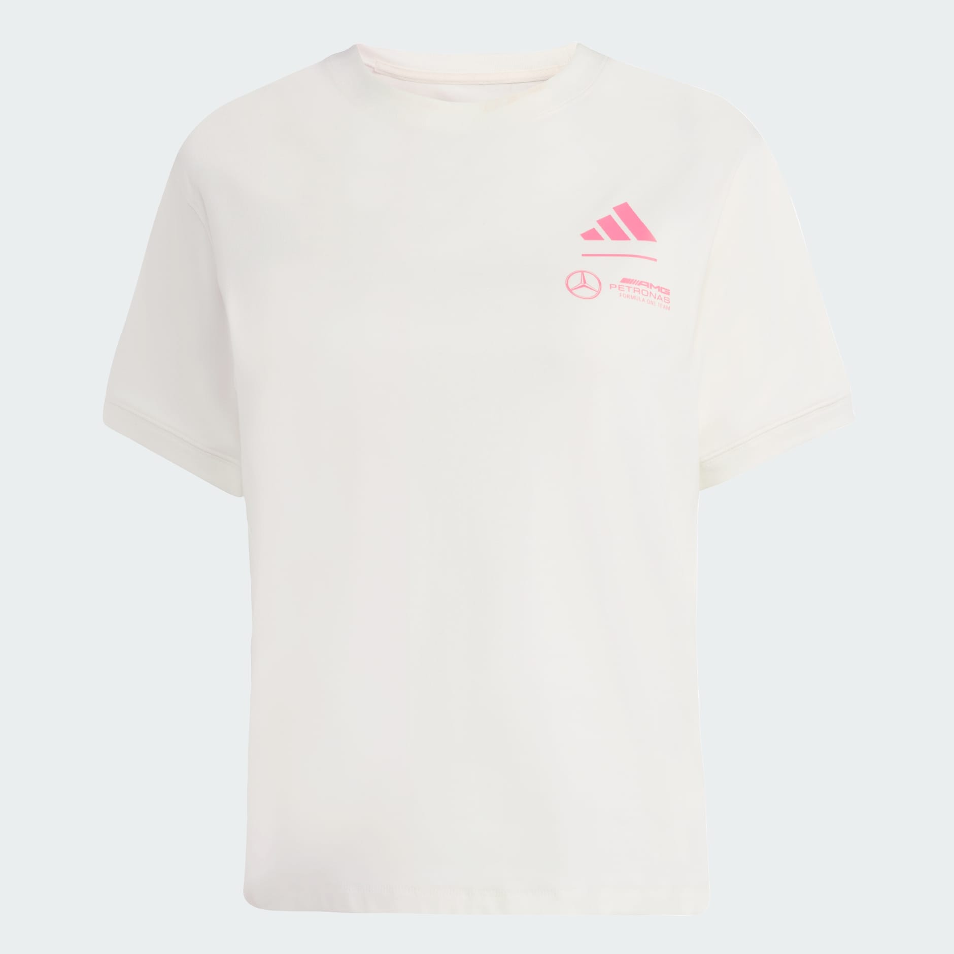 Mercedes - AMG Petronas Formula One Team Summer Graphic Tee