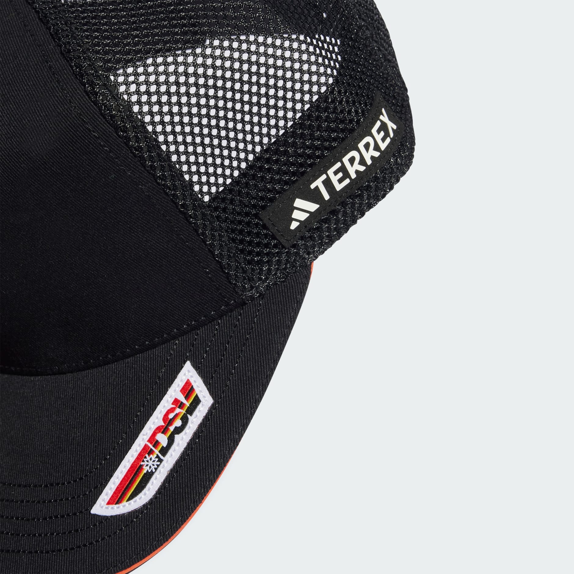 Mrežasta &scaron;ilterica DSV