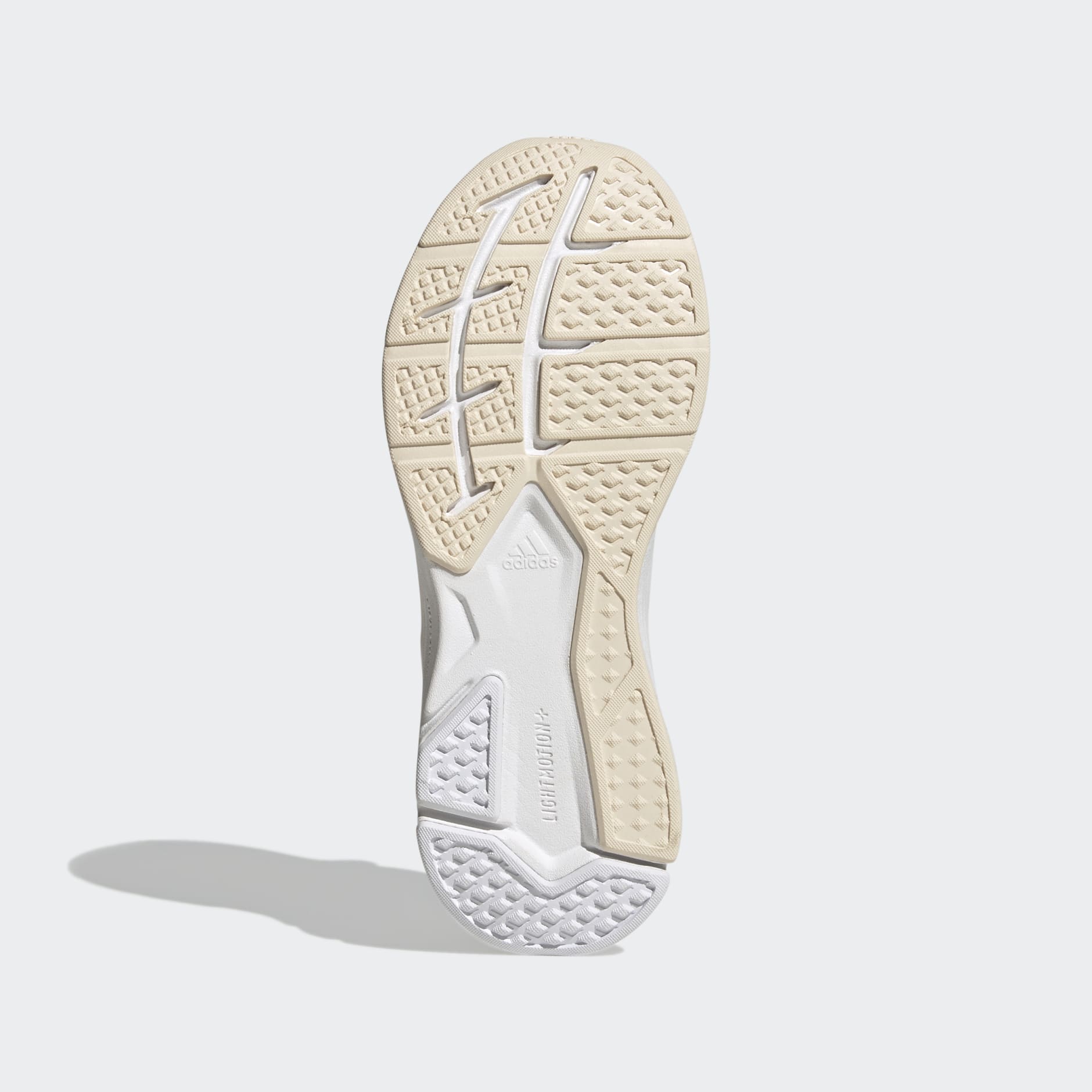 Speedmotion Shoes