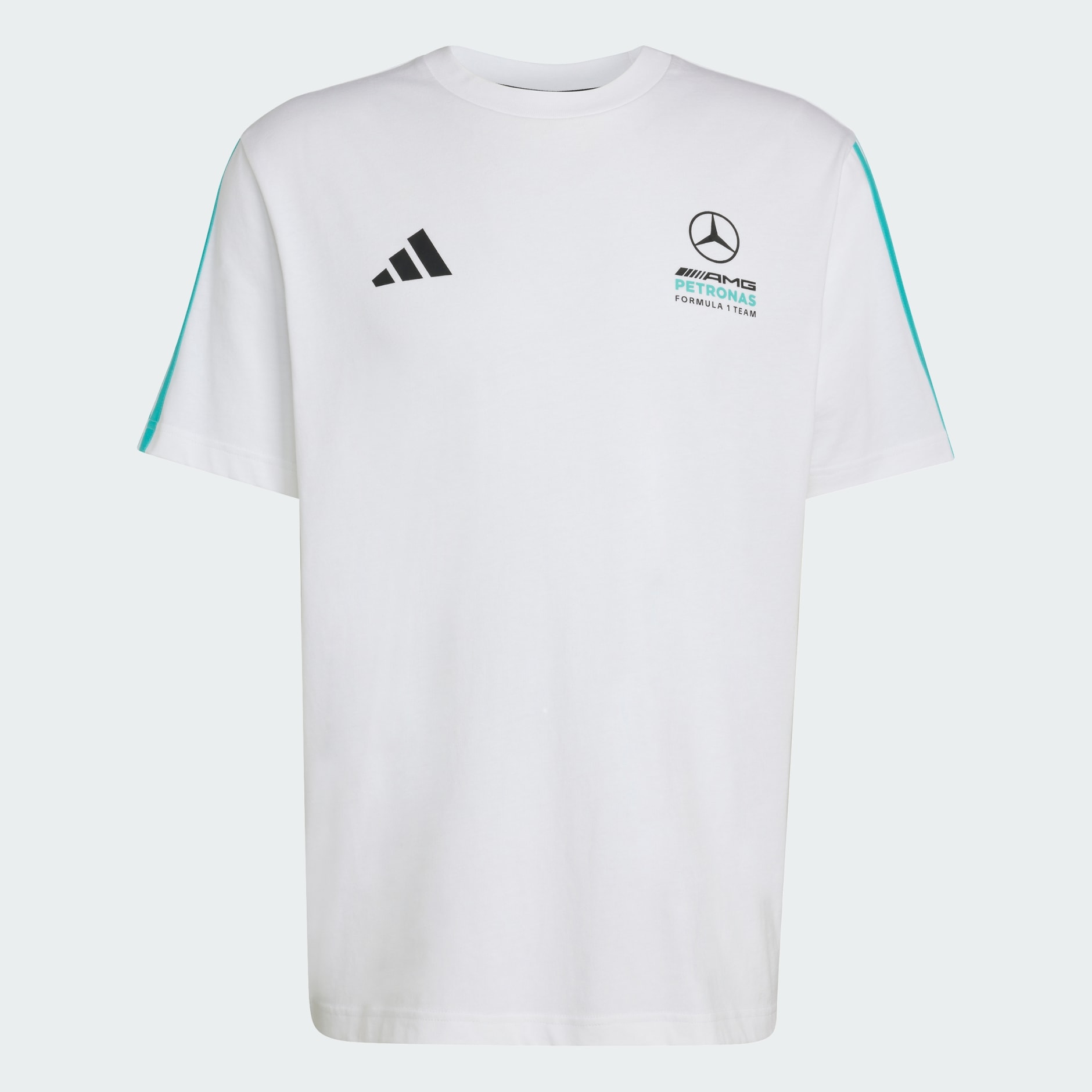 MERCEDES - AMG PETRONAS FORMULA 1 TEAM DNA TEE