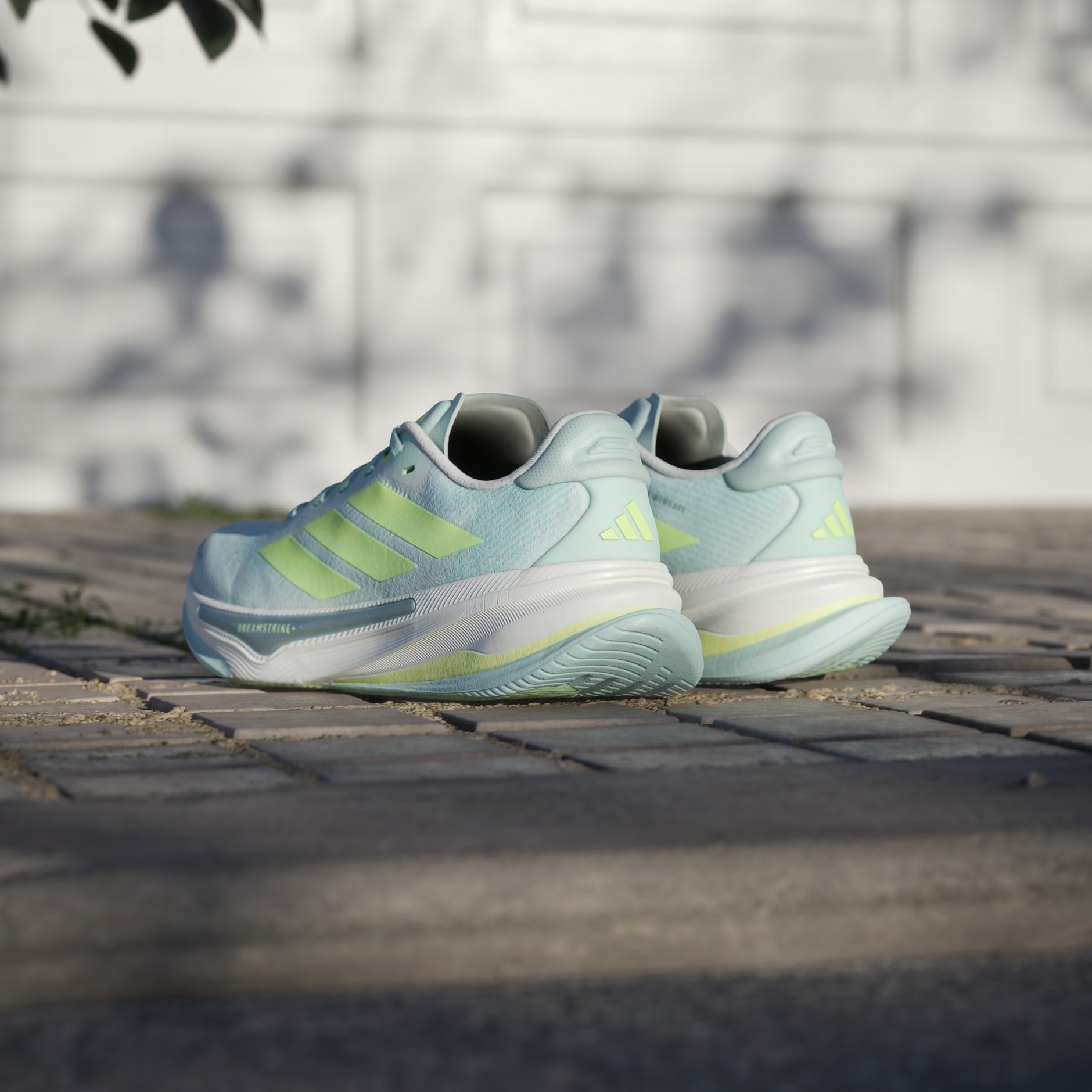 Supernova Prima 2 Shoes