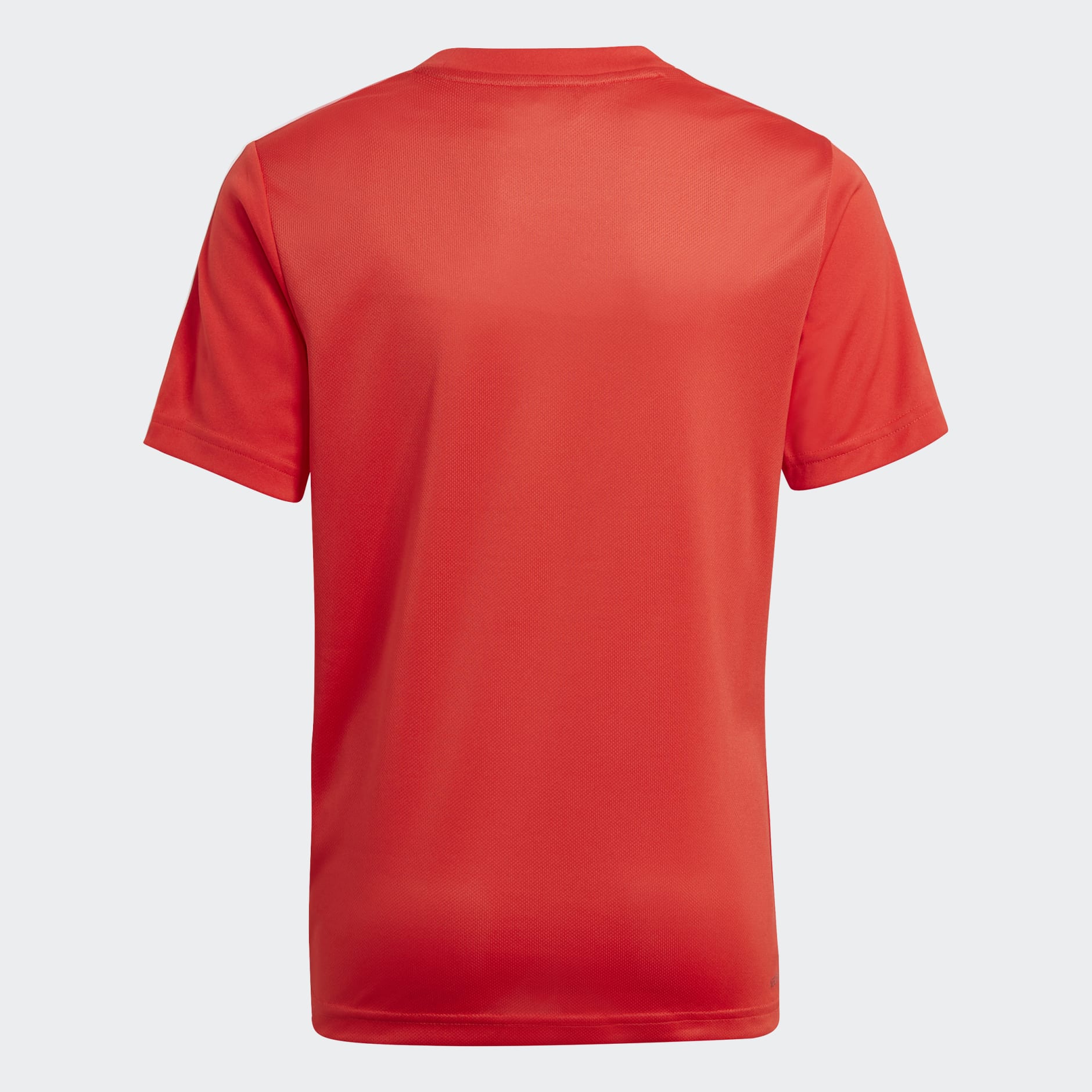 DESIGNED TO MOVE TEE AND SHORTS SET