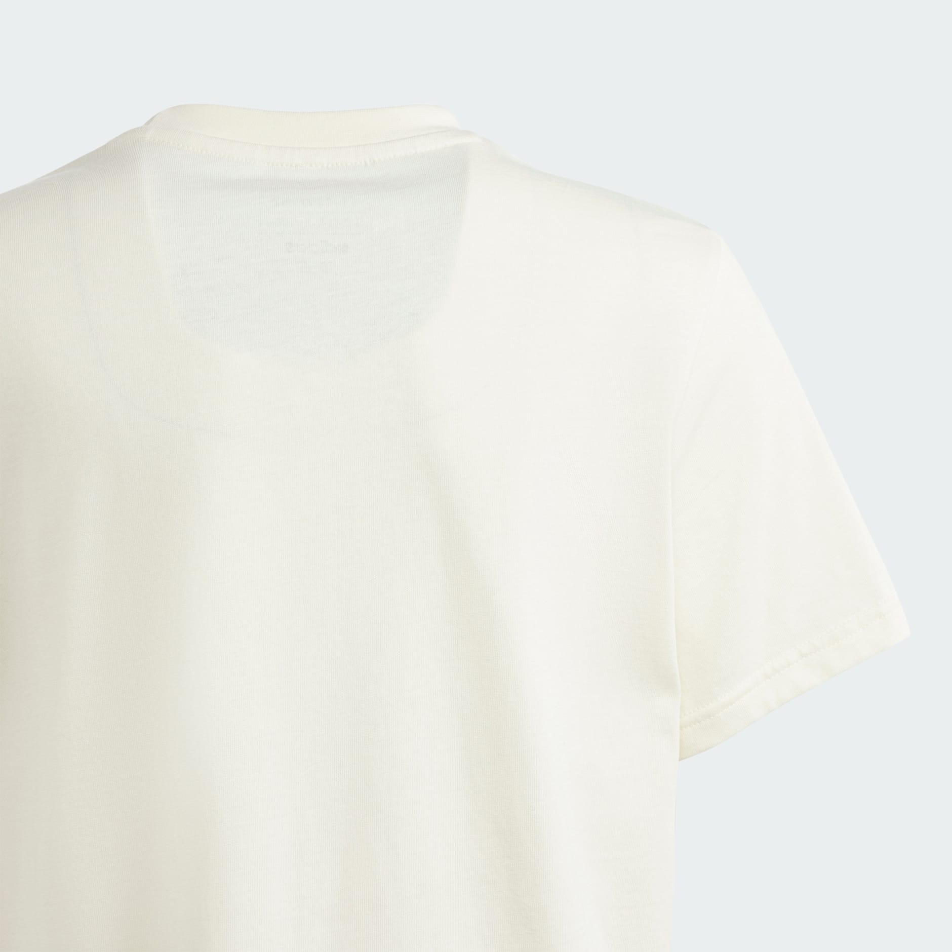 Table Tee Illustrated Graphic Tee