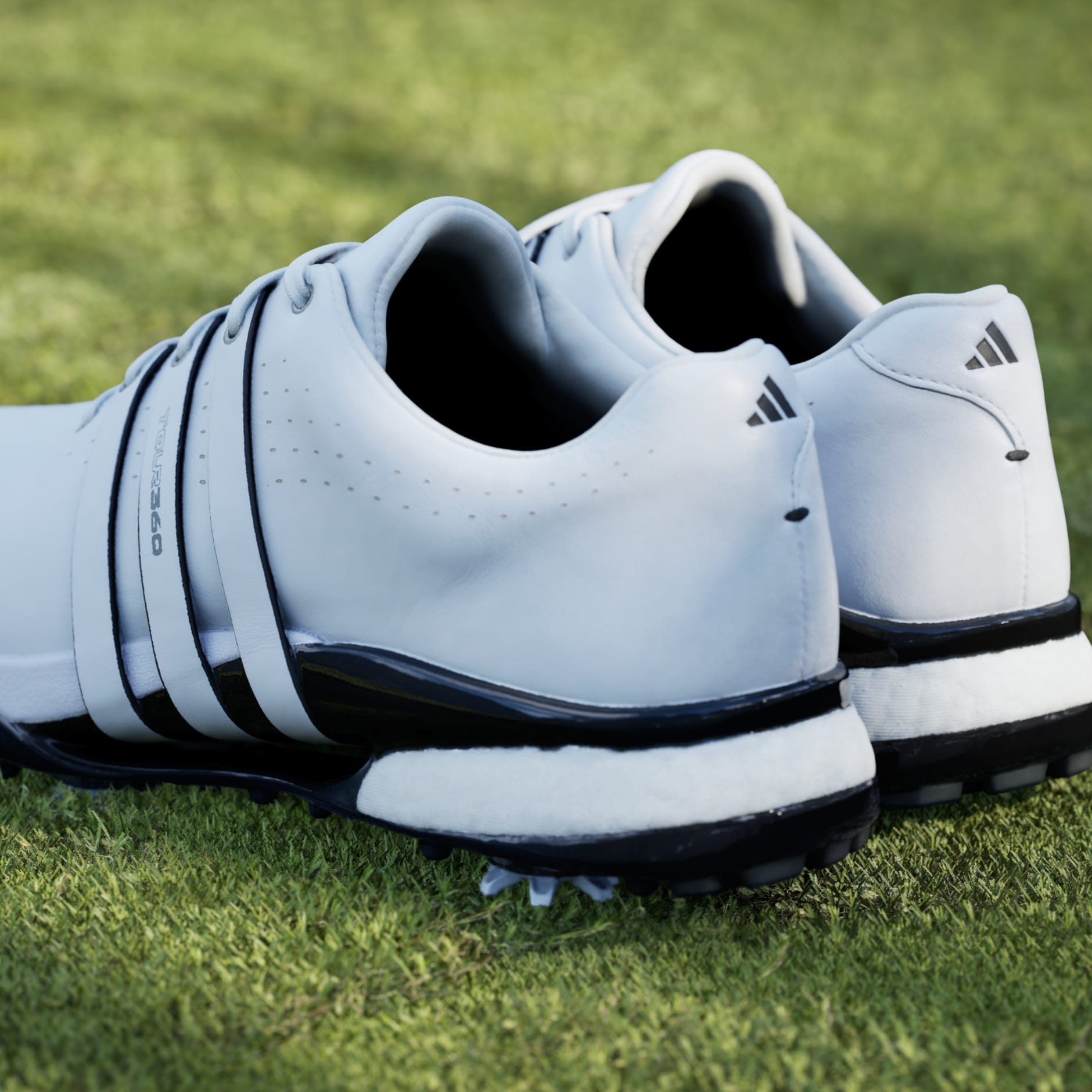 Cipele za golf Tour360 24