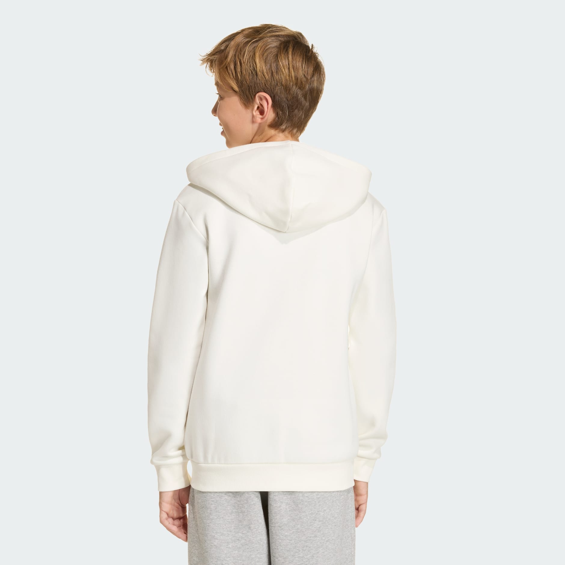 SEASONALS COLLEGIATE TYPOGRAPHY HOODY